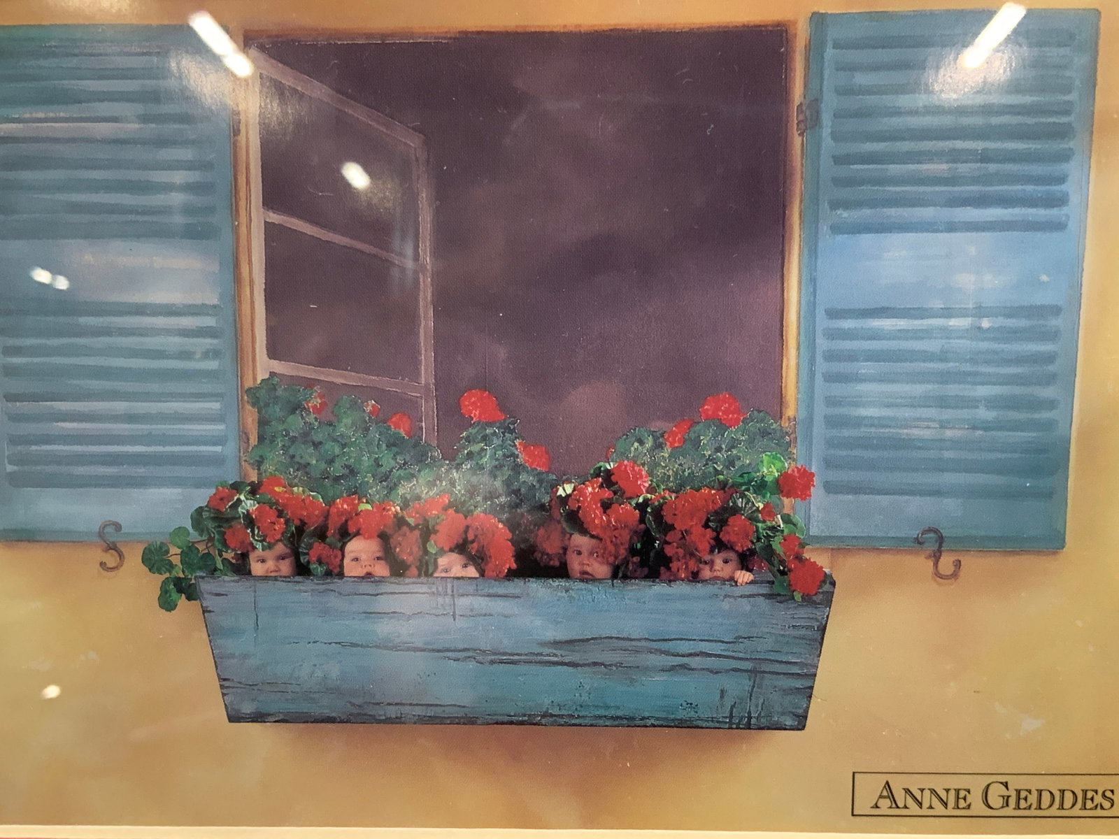 Anne Geddes Flower Pot Babies Lithograph: Lithograph depicting a blue toned window with a flower pot hanging from the window, with red flowers and babies faces poking out amongst the flowers. Marked Anne Geddes on right corners Framed in oran