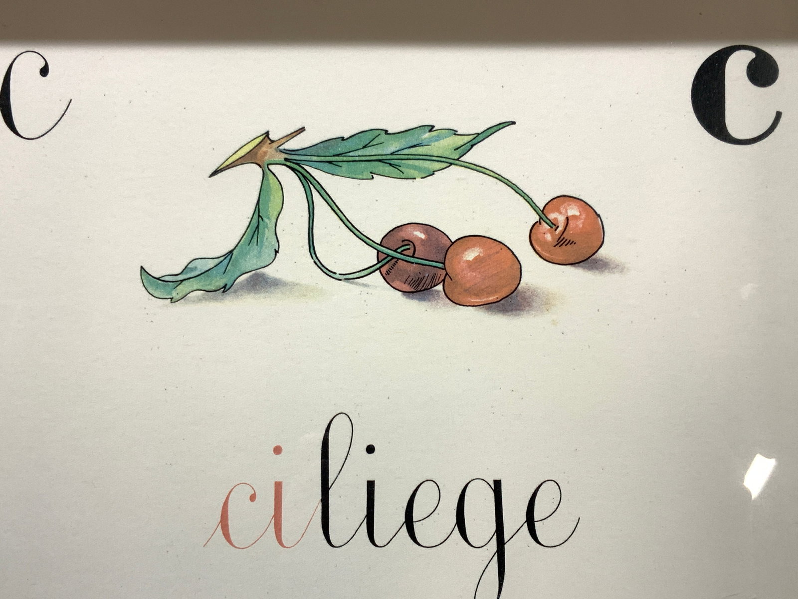 Framed Cherry Illustration Lithograph: Framed in a black wooden frame, Illustration of red cherries with the Italian word for cherry underneath the illustration. Approximately 10.5 x 14.5 inches and window measures 8.5 x 12.5 inches Modera