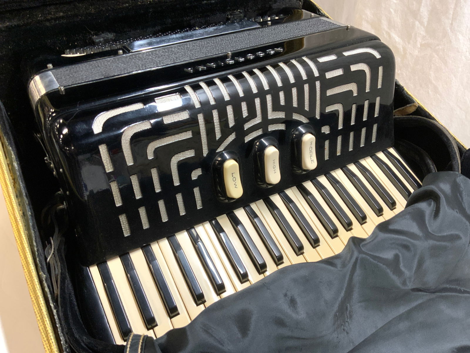 Vntg Excelsior Accordiana Accordion Suitcase Italy (1 of 16)