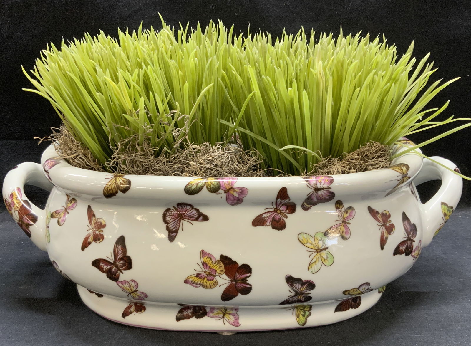 Butterfly Painted Porcelain Planter with Handles (1 of 9)