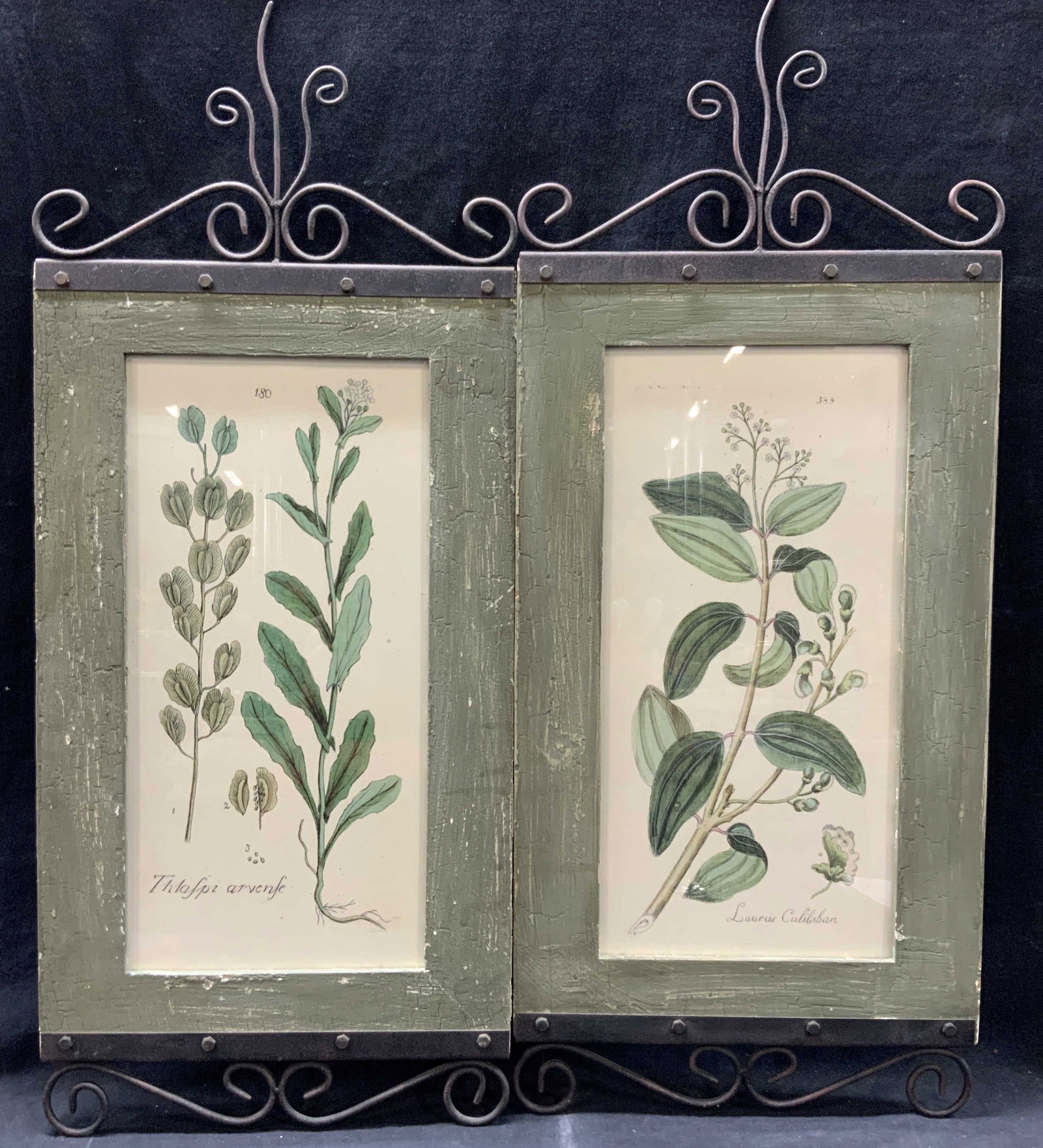 Pr Framed Botany Lithographs (1 of 10)