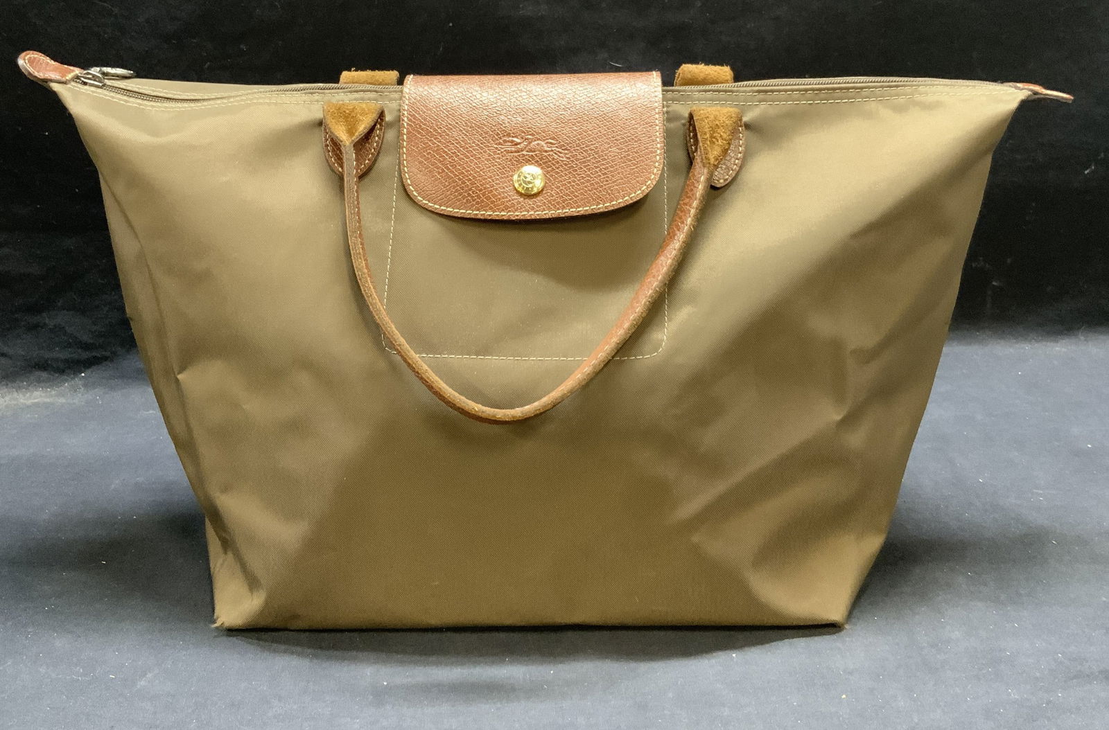 LONGCHAMP Le Pliage Green Handbag (1 of 11)