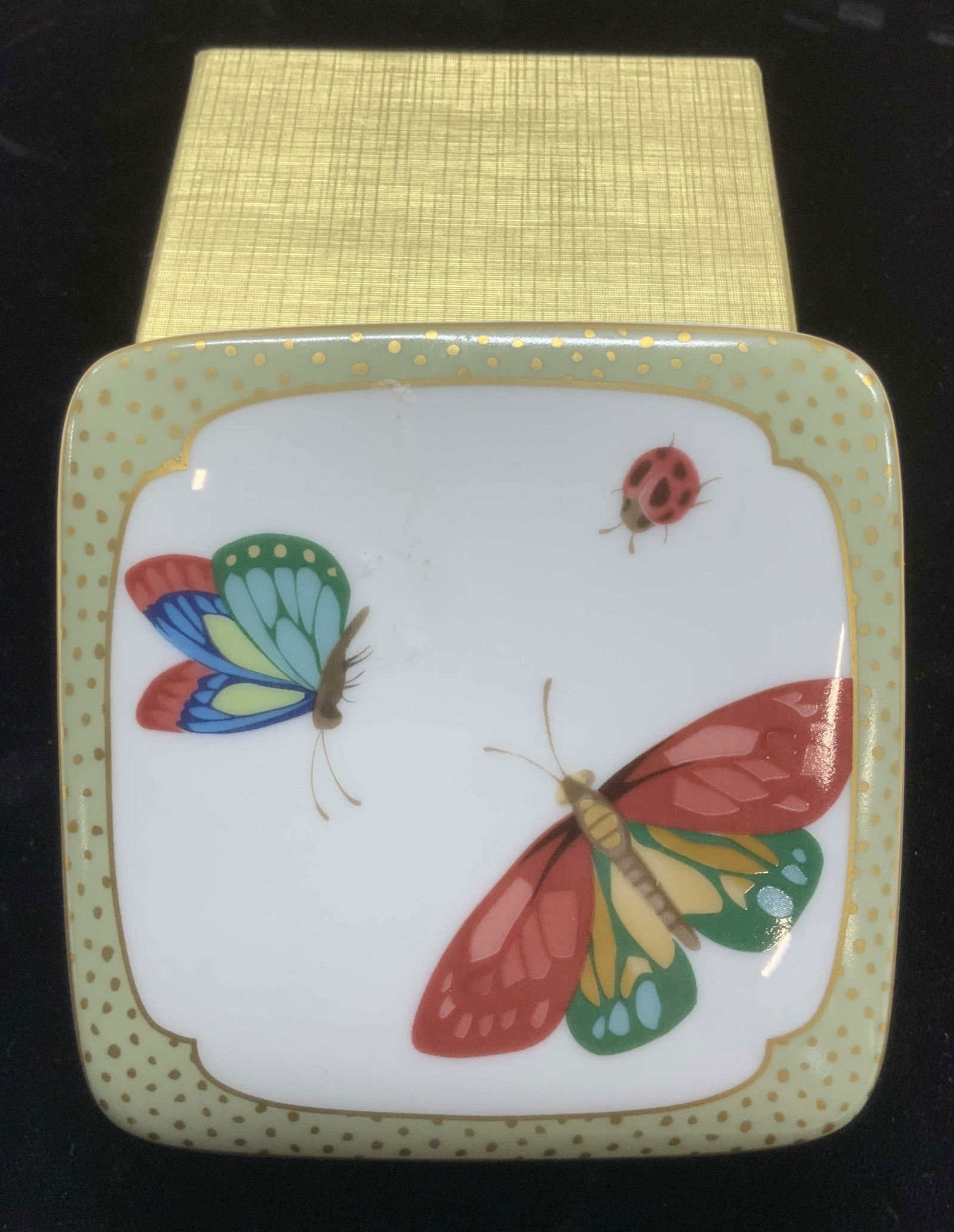 Tiffany & Co. Limoges Porcel Butterfly Box, France (1 of 7)