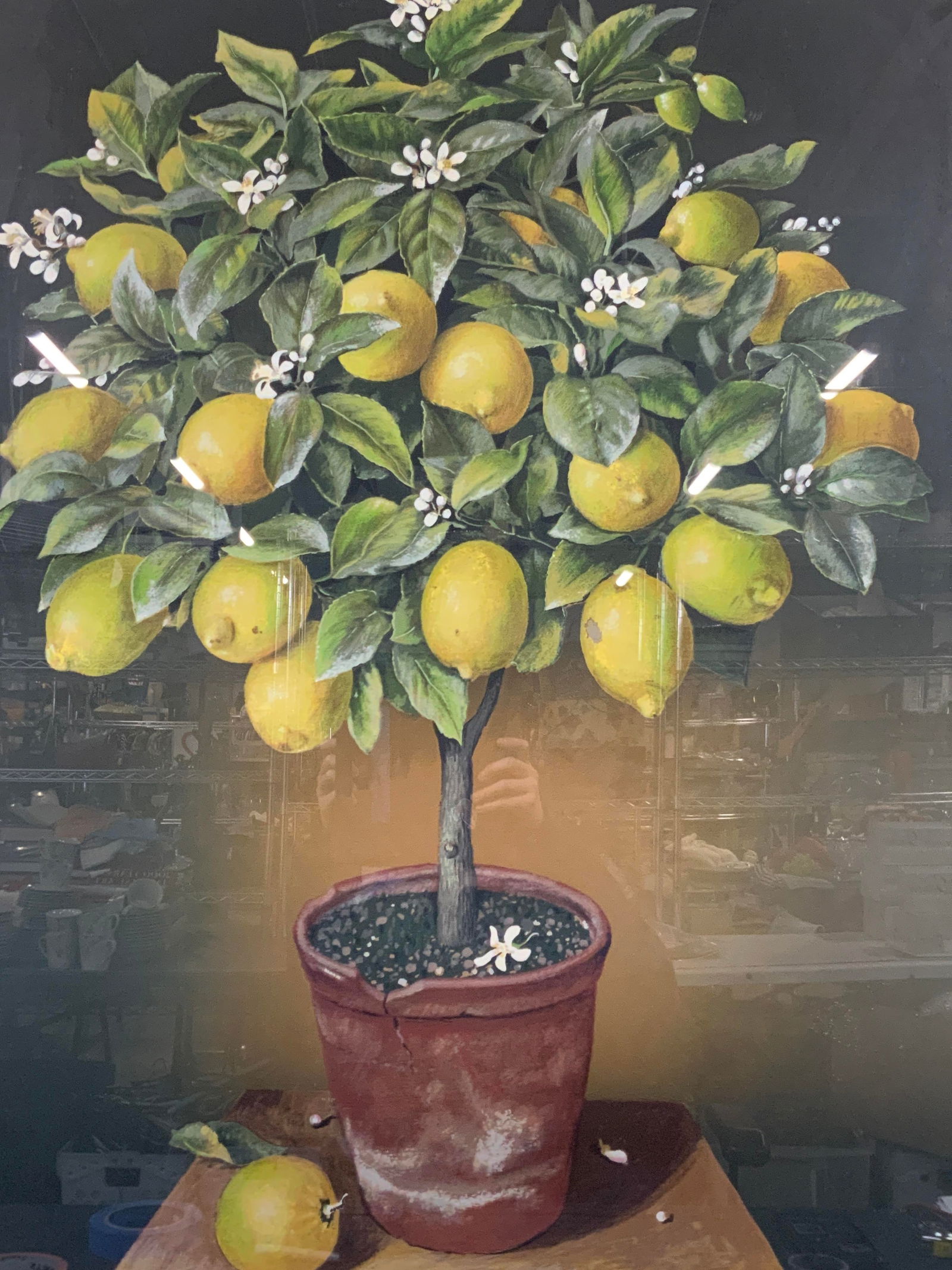 Miriam Escofet Sgd Lemon Tree Silk Screen 42in (1 of 13)