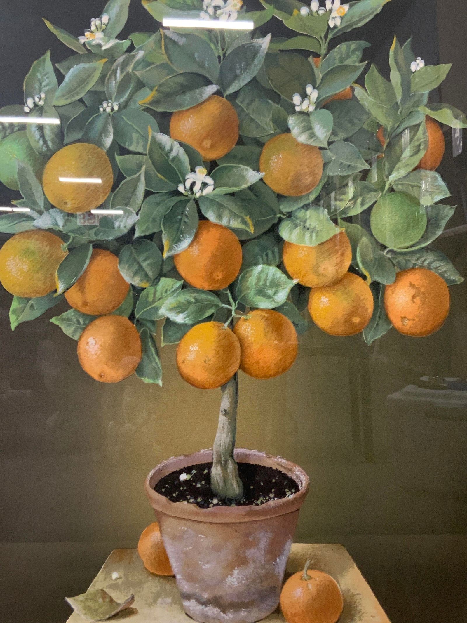 Miriam Escofet Sgd Orange Tree Limited Ed. Silk Screen 42i (1 of 11)