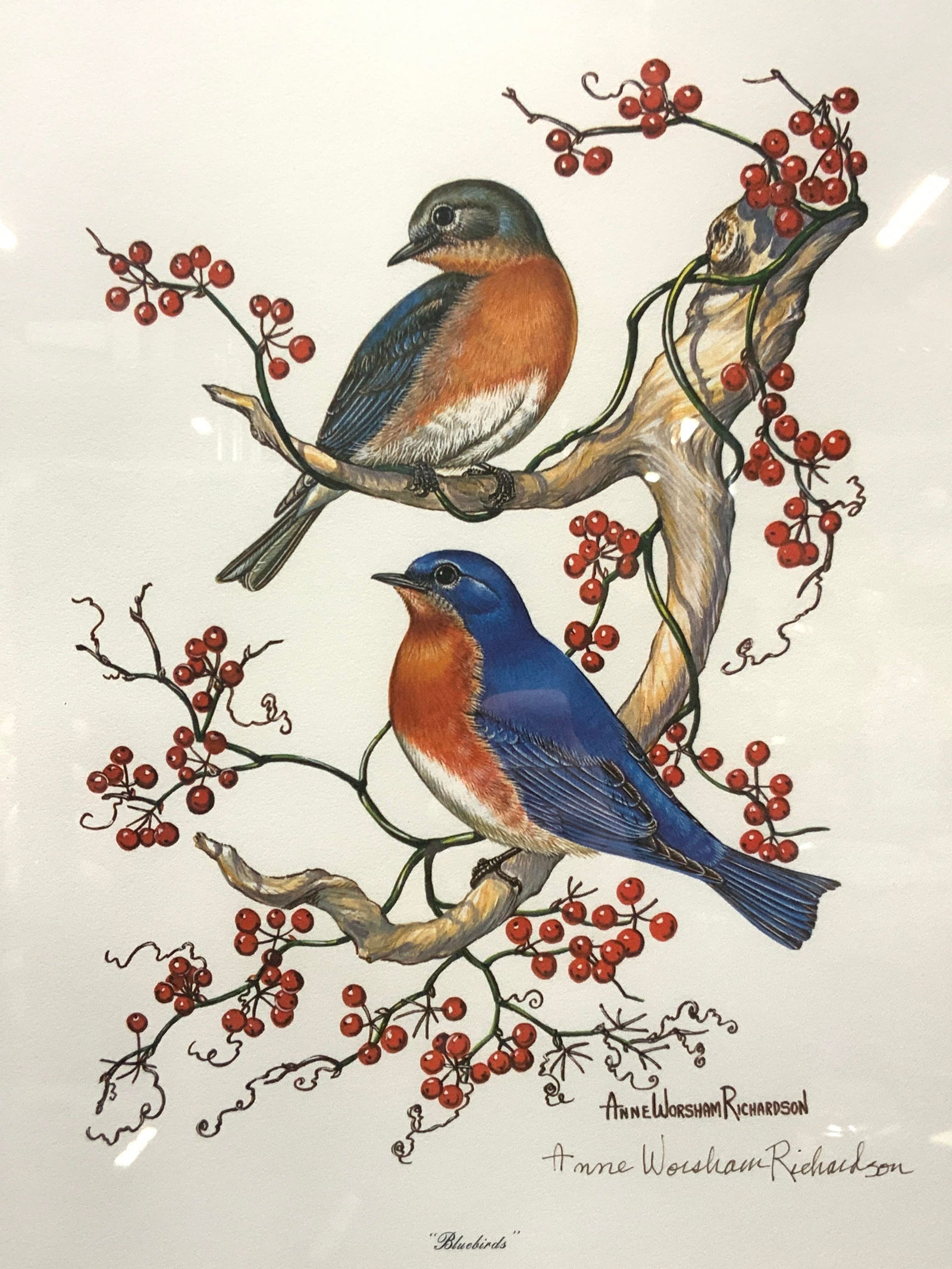Anne Worsham Richardson Sgd Bluebirds Litho (1 of 11)