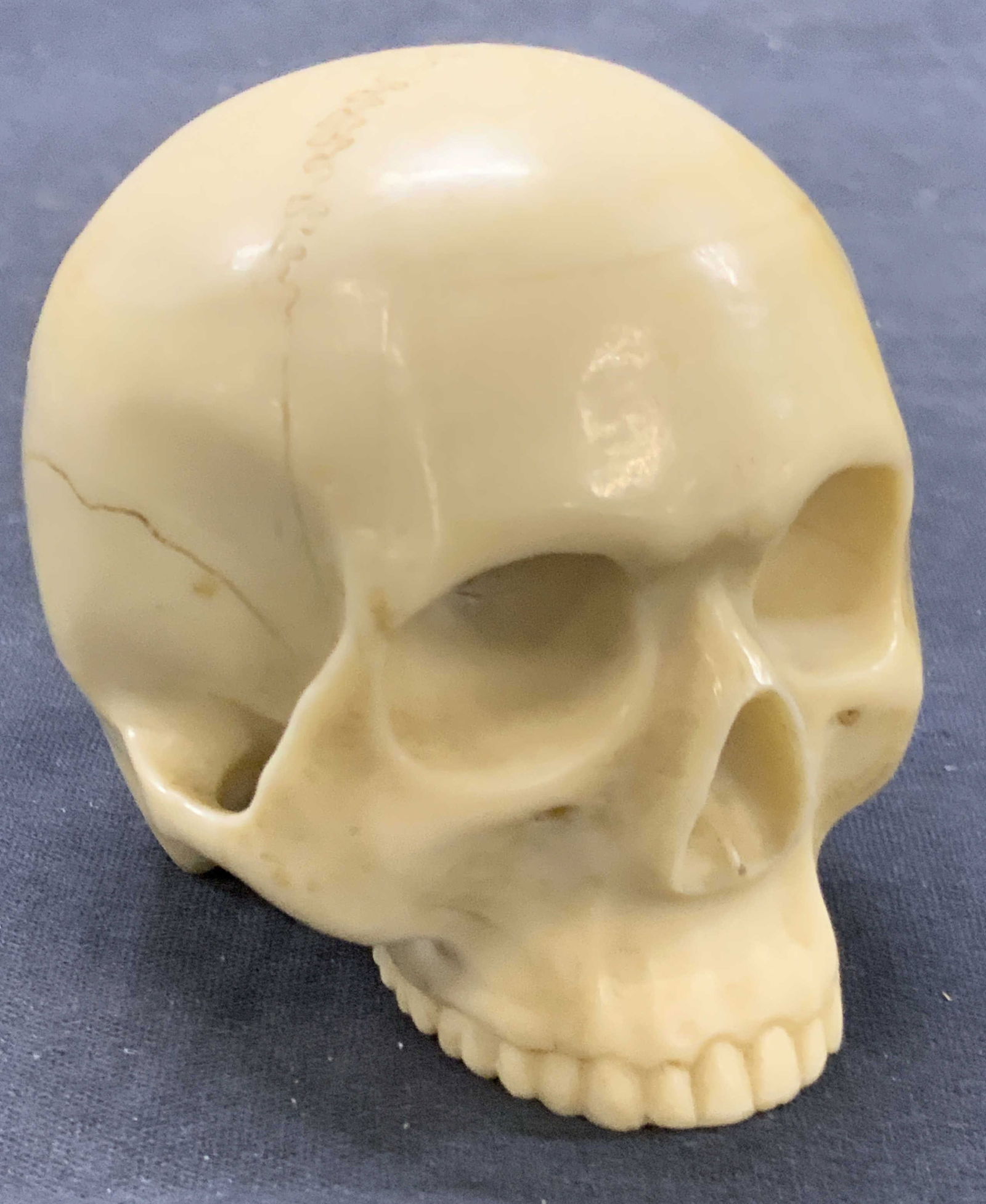 Carved Bone Skull Figure: Carved bone, possibly hard composite made human skull figure with missing lower jaw. Approx 3 inches tall and 2.75 inches wide. Springs affixed to undefined of top jaw residue from missing lower jaw,