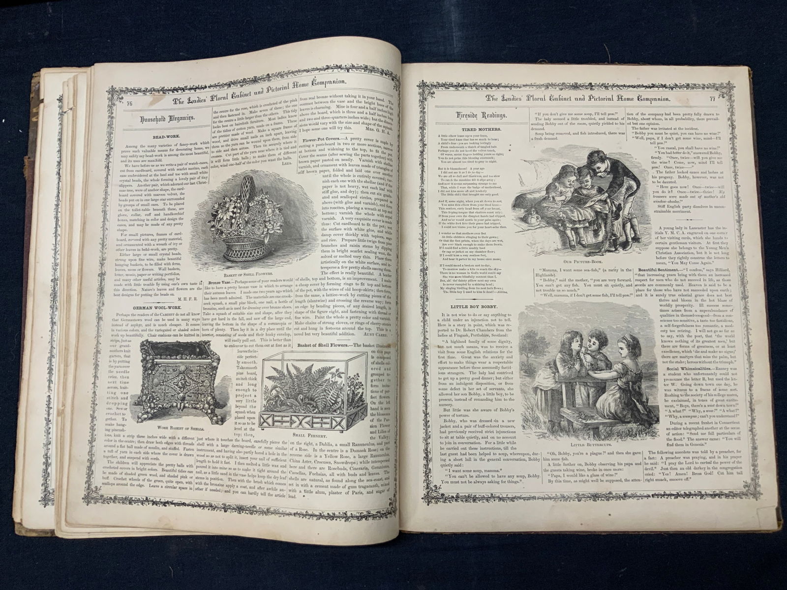 1874 The Ladies Floral Cabinet, Adverts, Music + (1 of 14)