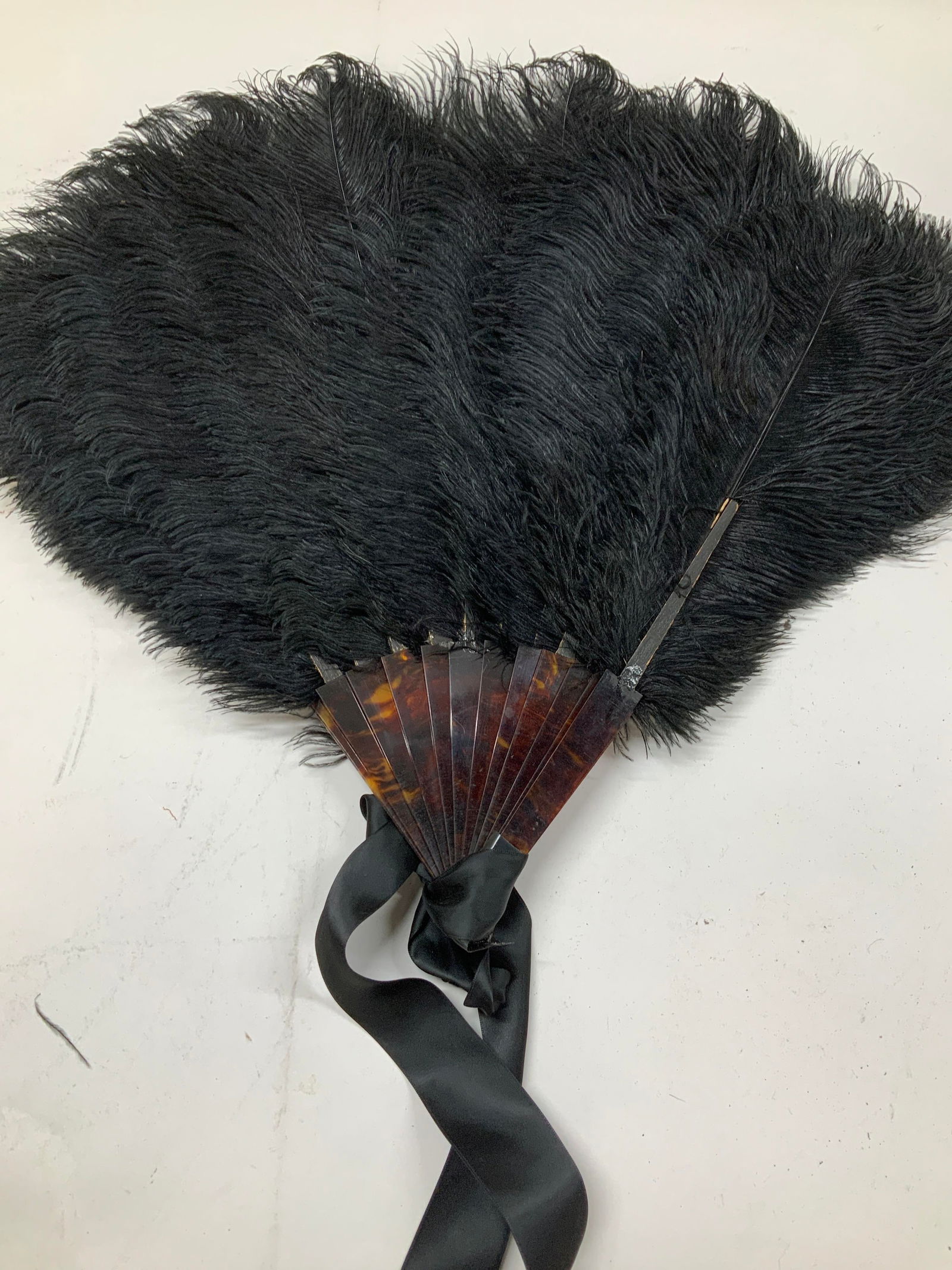 Ostrich Feather Hand Fan w Celluloid Handle (1 of 6)
