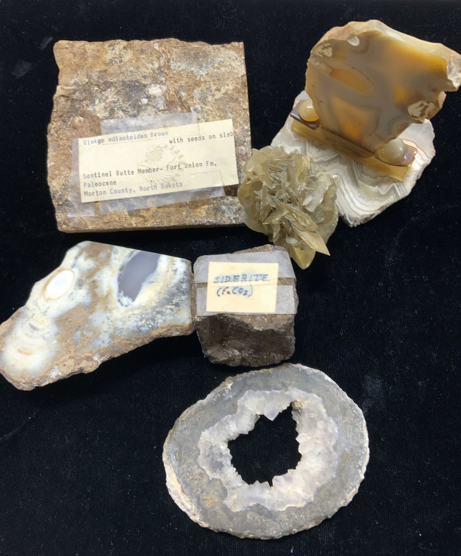 Lot 6, Geode, Agate, Siderite, Paleocene Fossil (1 of 7)