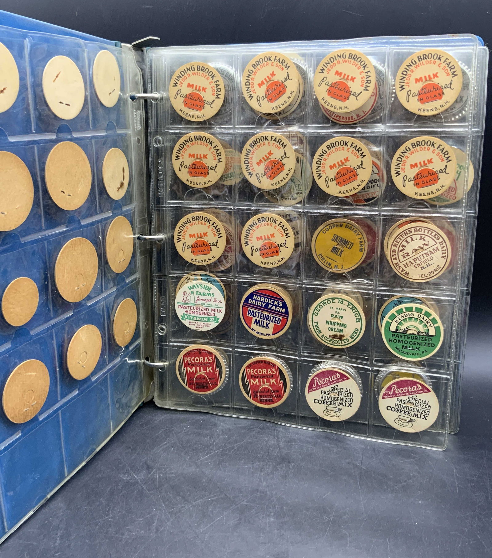 Group Lot 30+ Vintage Milk Bottle Caps, Ephemera (1 of 15)