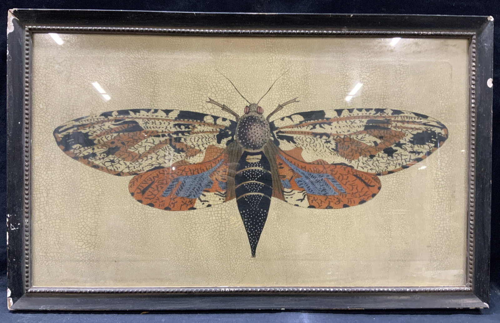 Framed Crackle Moth Lithograph: Framed lithograph of a crackle moth in full color against a tan crazed style background. Framed in a black wooden frame, approx. 16 x 26 inches window measures 13.5 x 23 inches. Evident losses to fram