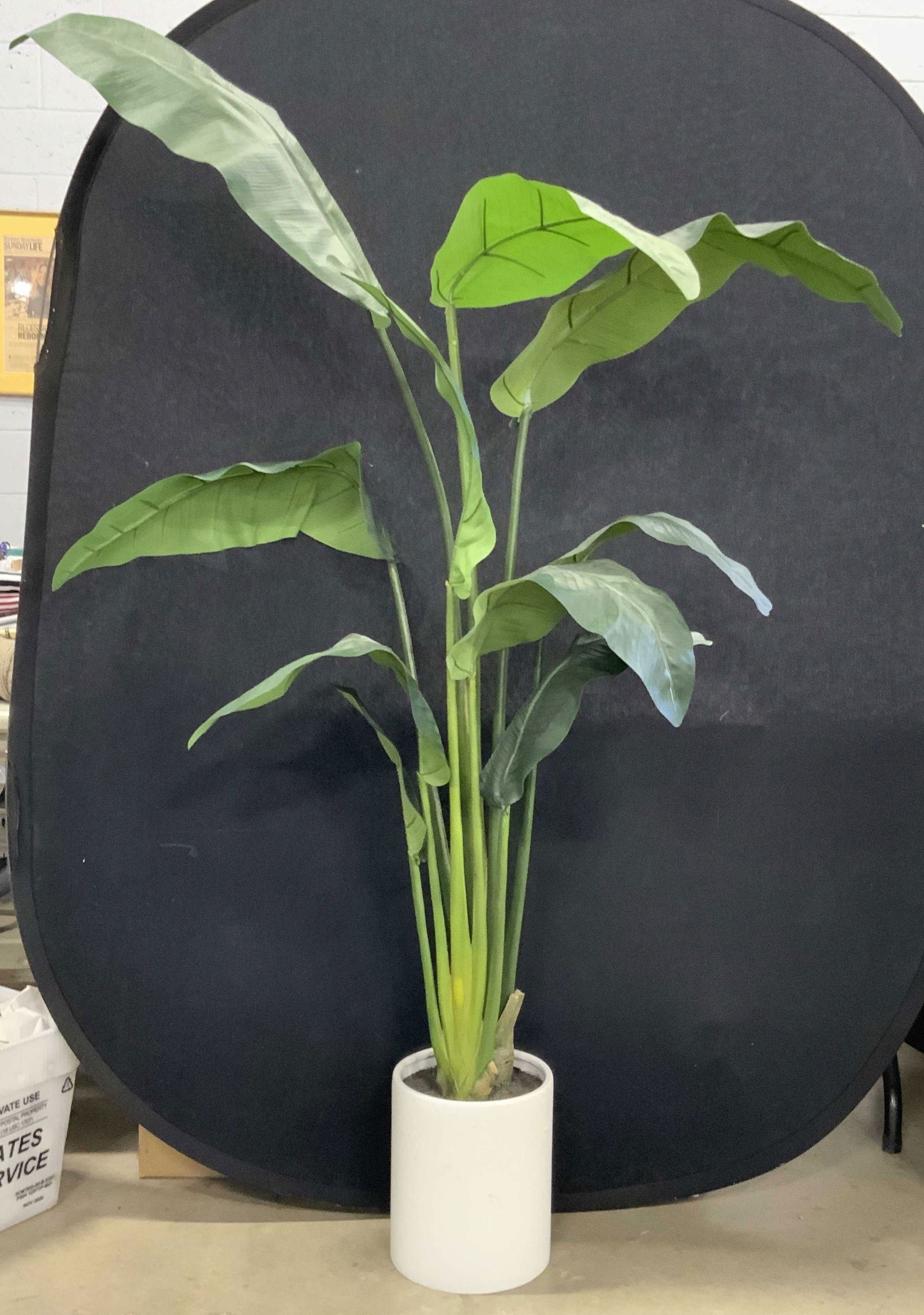 Artificial Plant in Planter, 5.5 Ft in Ht (1 of 9)