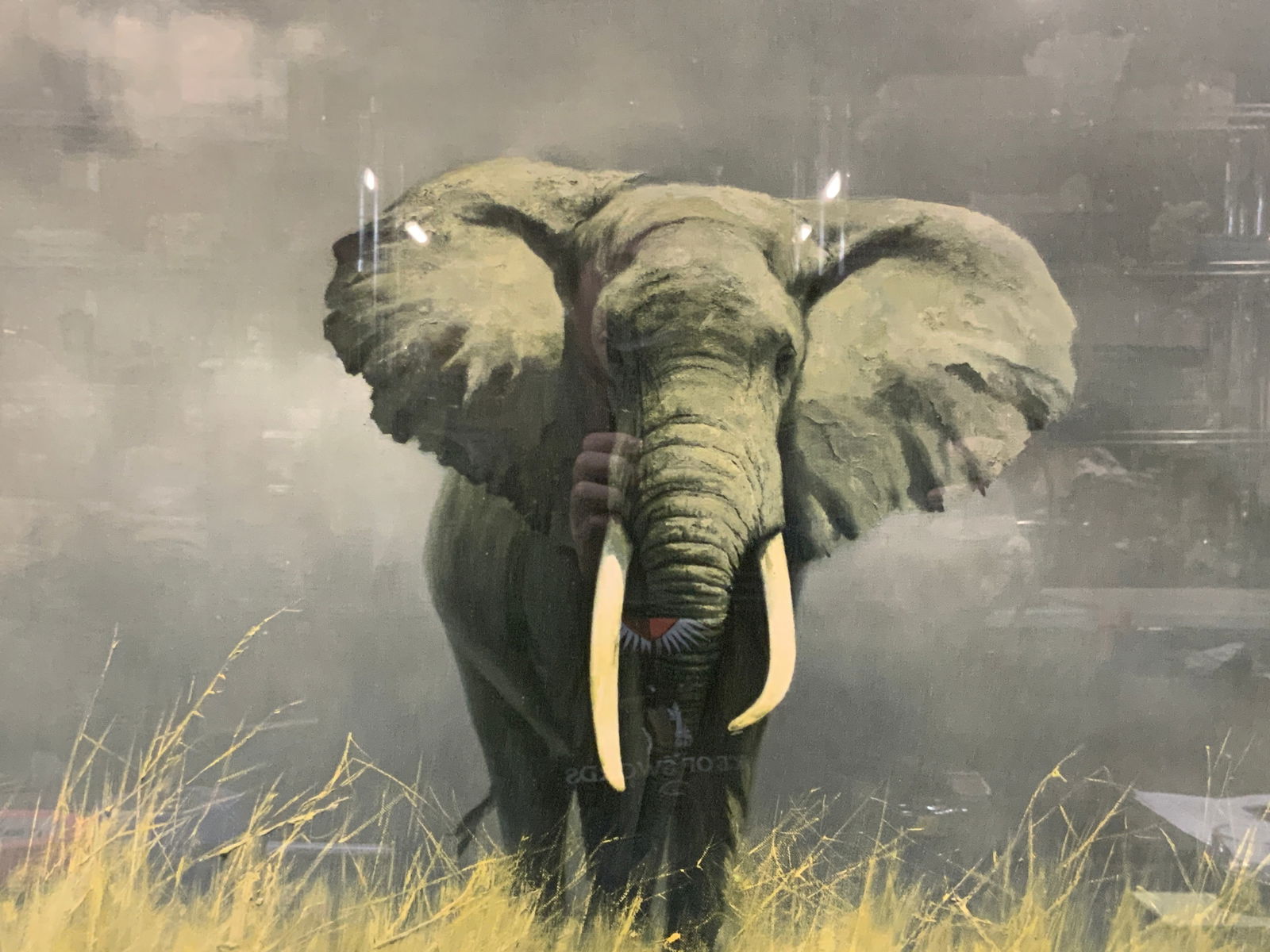 David Shepard Elephant Lithograph (1 of 8)