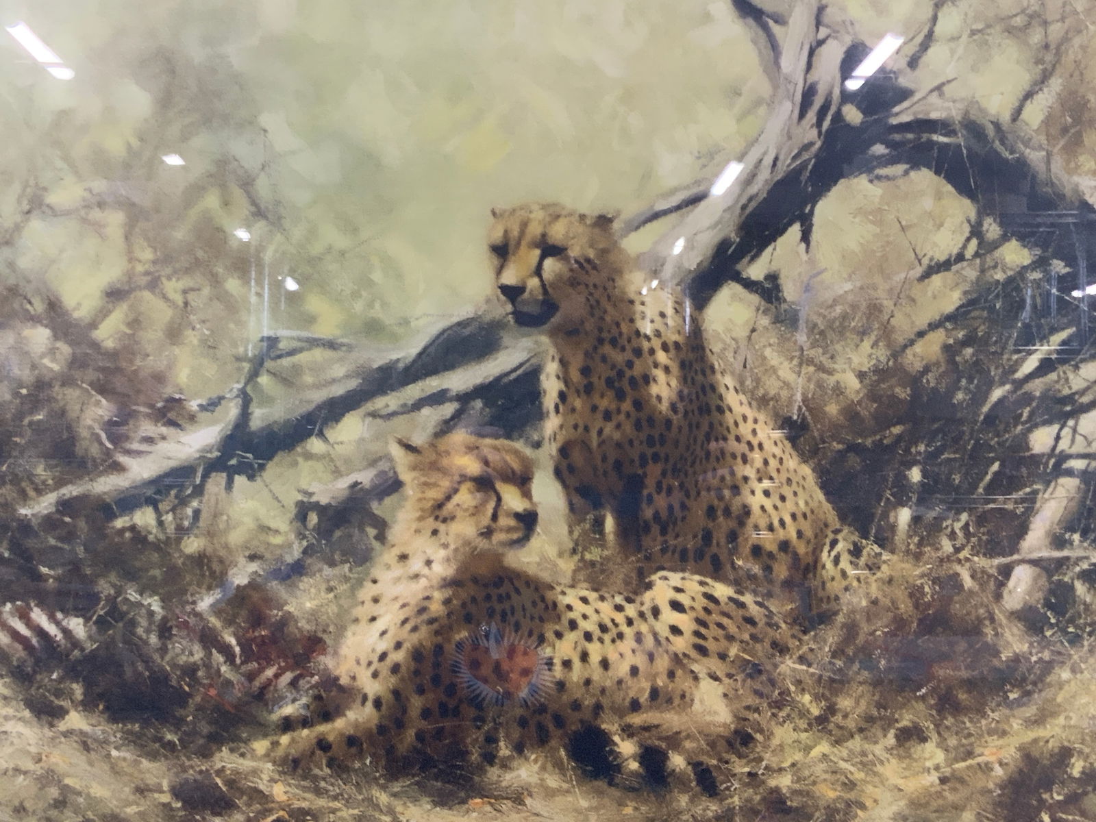 David Shepard Leopard Lithograph 41in (1 of 8)