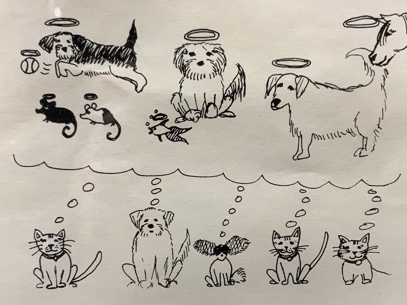 Framed Remembering Pets Silk Screen (1 of 7)