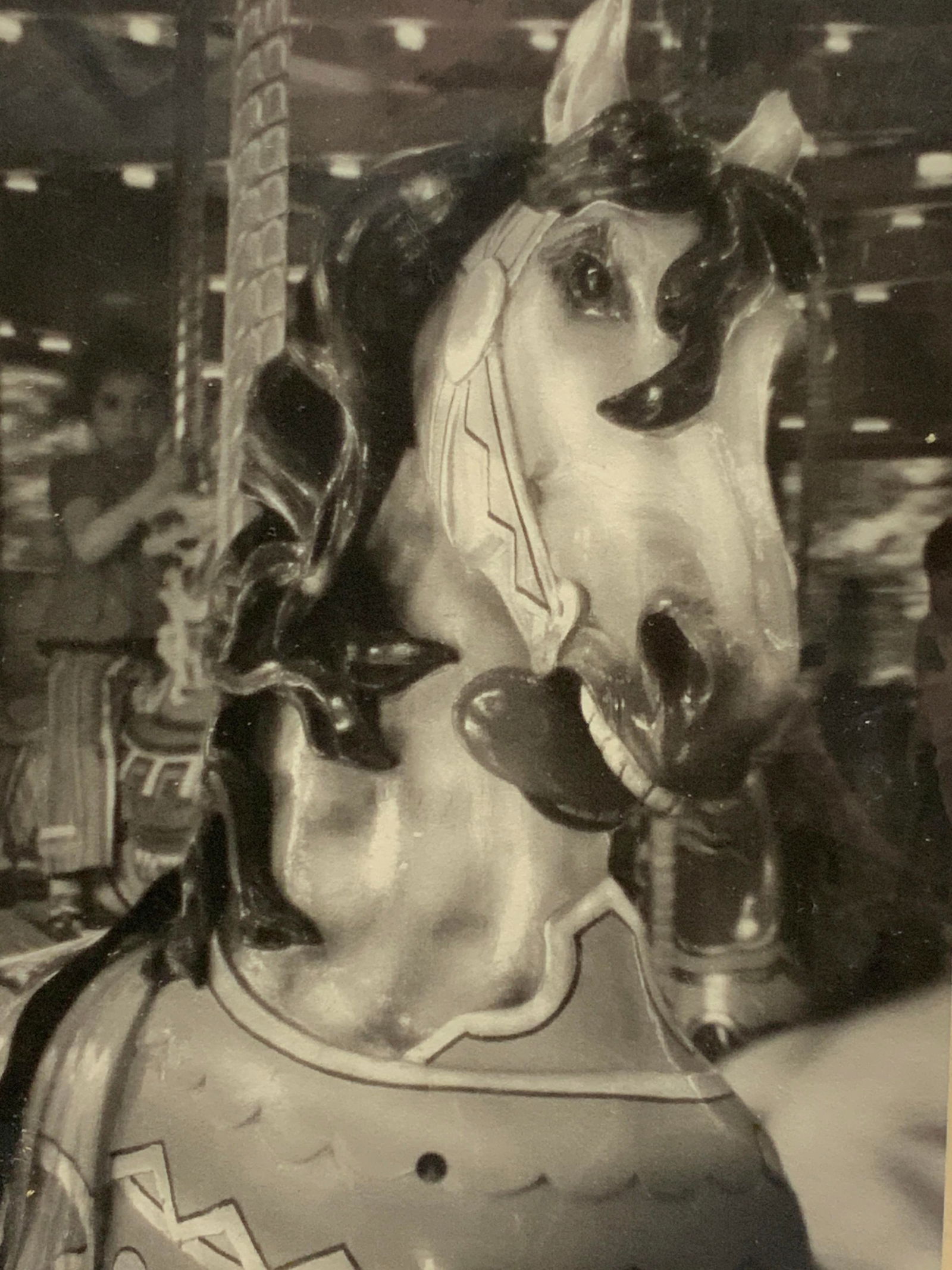 K.Kopla Sgd Prospect Park Photograph (1 of 8)