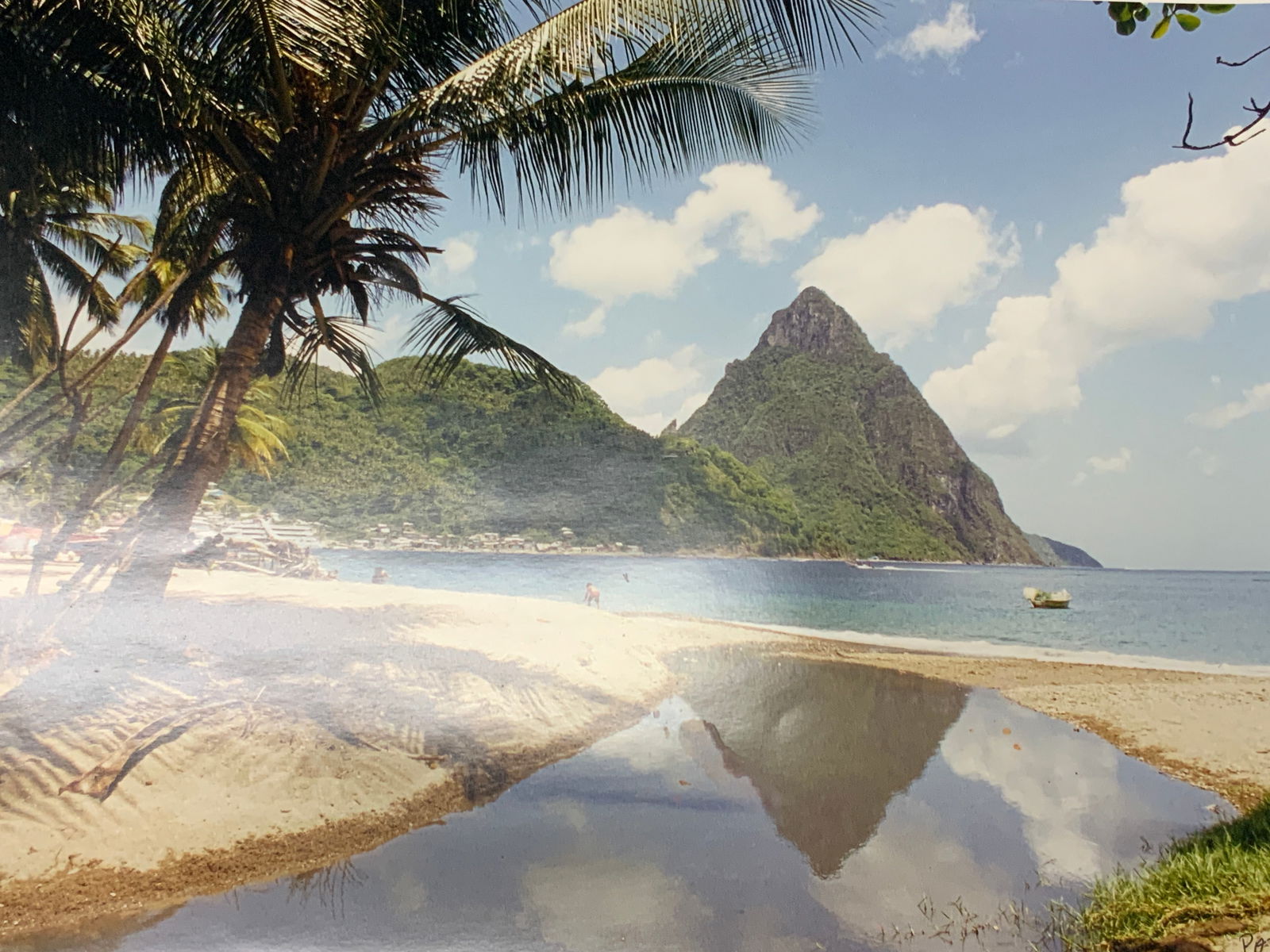 Signed Tropical Landscape Photograph (1 of 8)