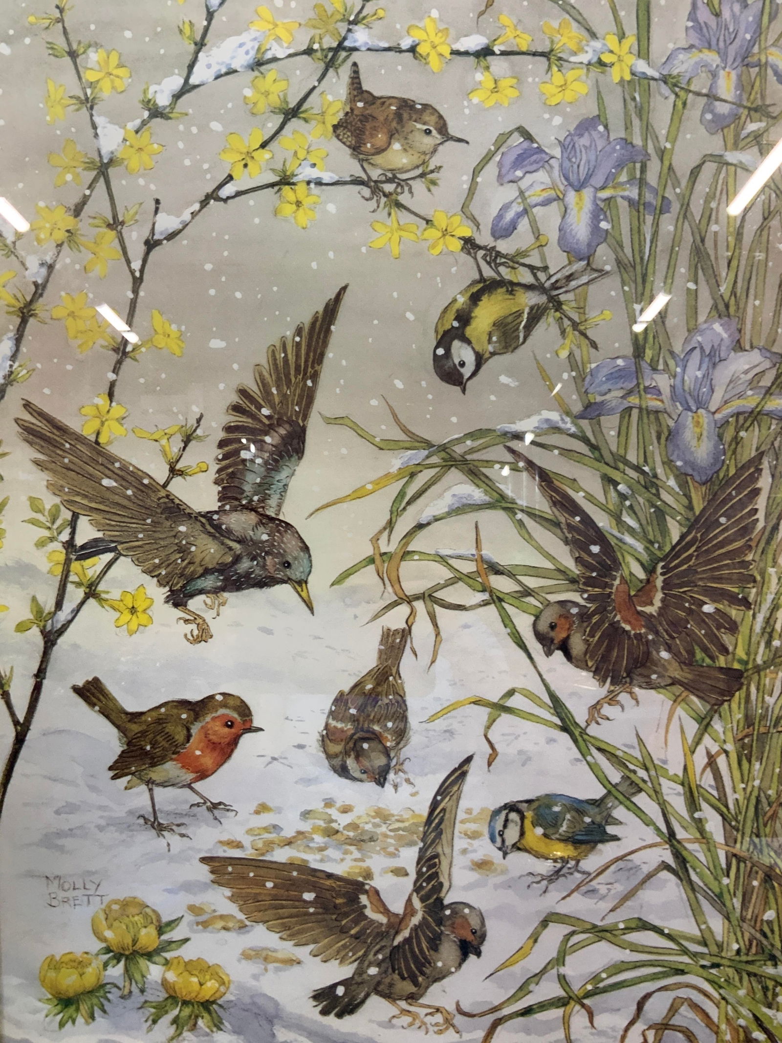 Molly Brett Wild Birds Snowy Landscape Litho 1981 (1 of 9)