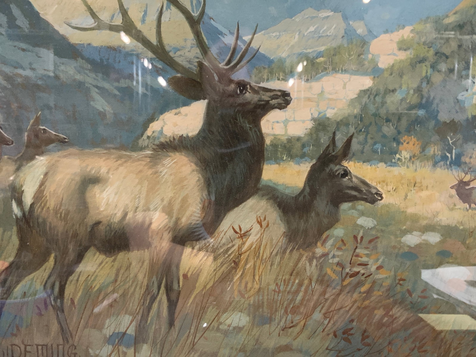 Edward Deming Sgd Eilk Gouache Painting: Signed on lower left corner EWDeming. Depicting a landscape scene with a herd of elk in a field with mountains in the distance Framed in a black wooden frame with off white mat board. Approx 16 x 20 i