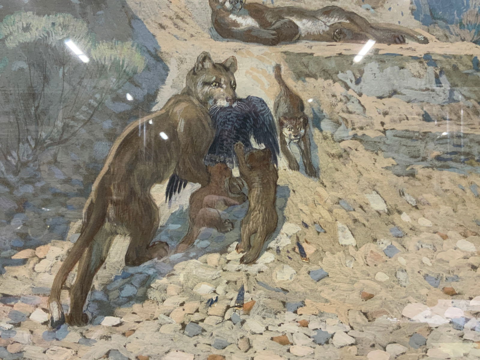Edward Deming Mountain Lions Gouache Painting: Signed on lower right corner EWDeming. Depicting a landscape scene with a family of mountain lions, with a mother bringing back a bird to her three cubs and other adult cat lying on a rock. Framed in