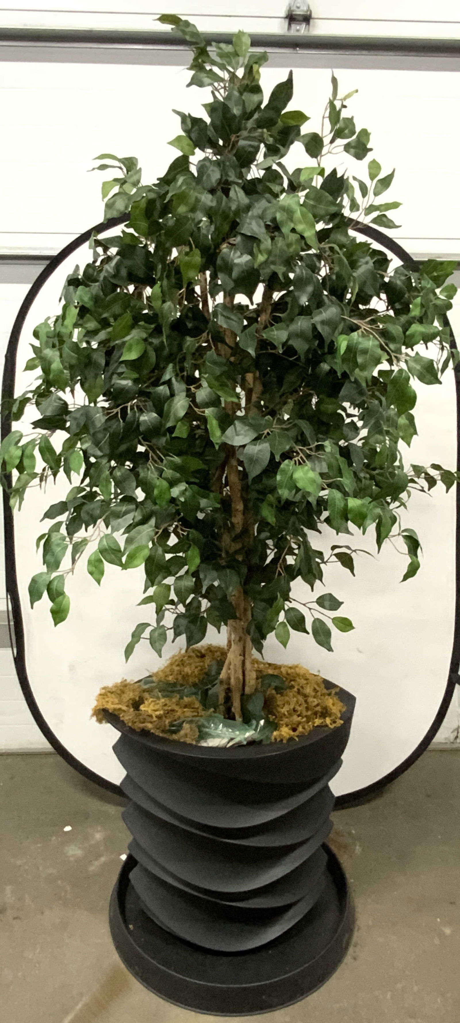 Faux Tree In Planter & Drainage Dish 7ft+ (1 of 8)