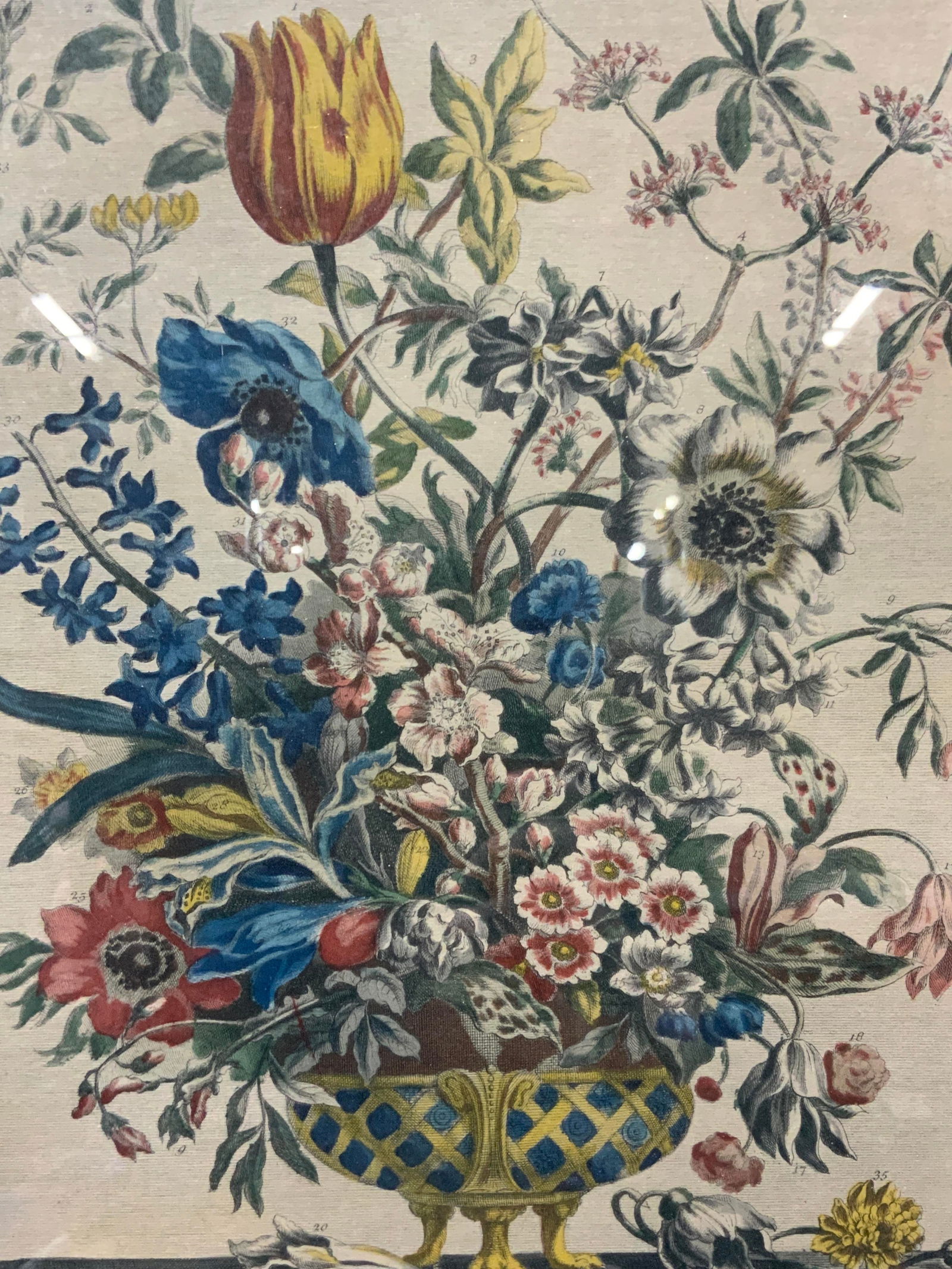 H.Fletcher Full Color February Floral Engraving (1 of 9)
