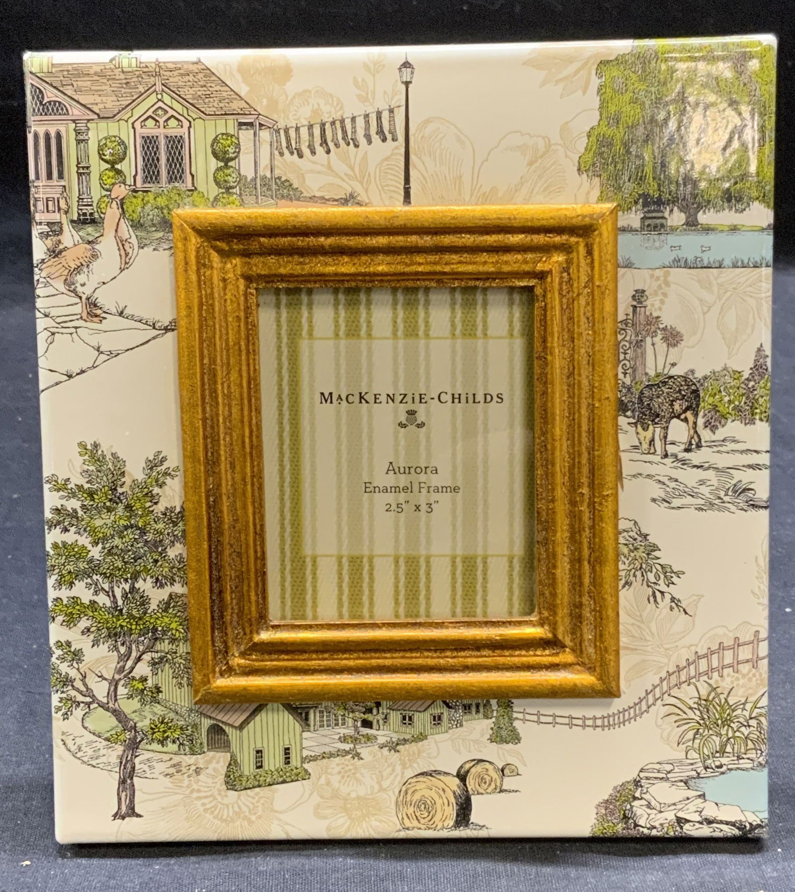 Mackenzie Childs Aurora Enamel Picture Frame (1 of 7)