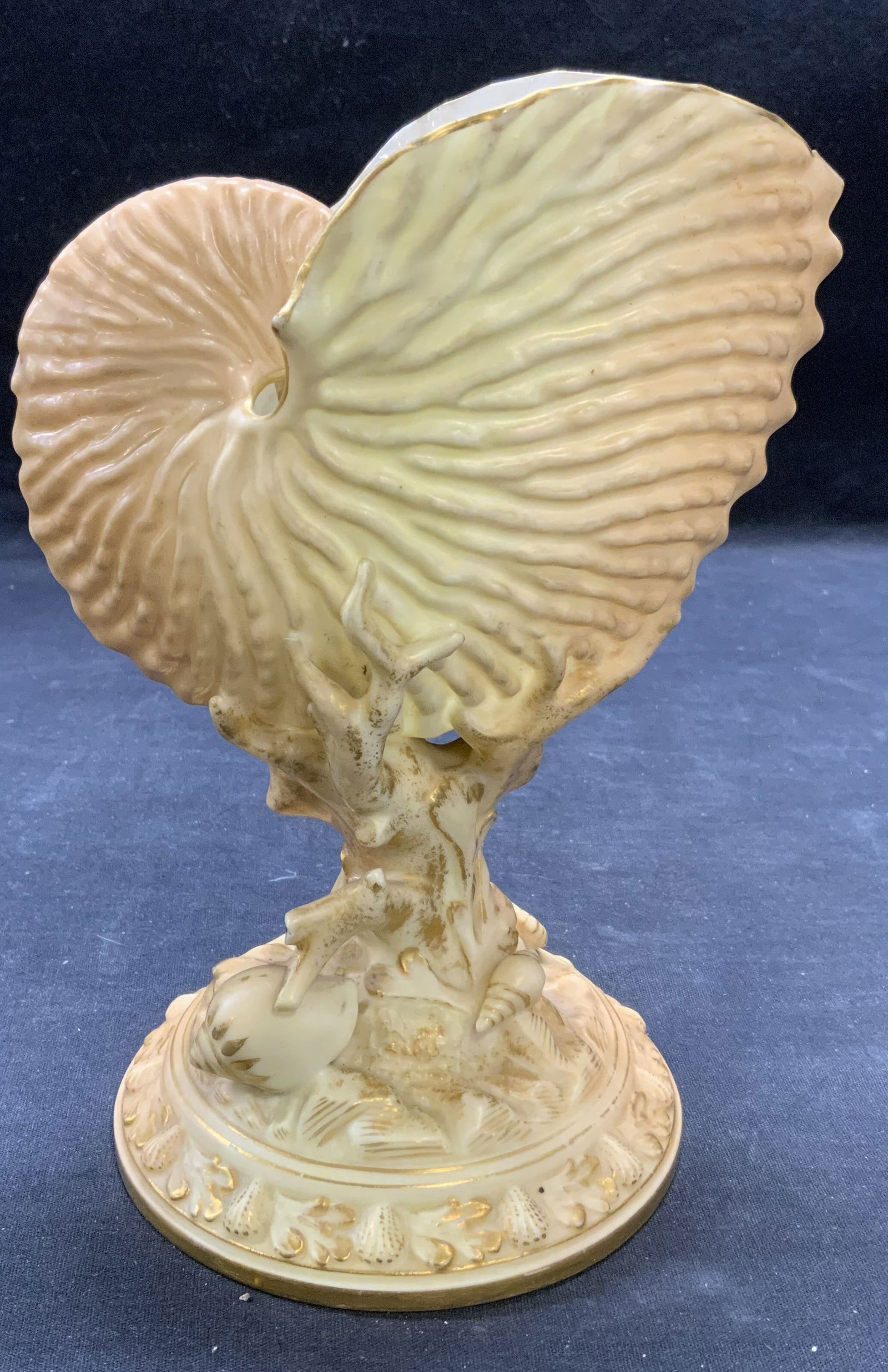 Antq Royal Worcester Porcelain Conch Shell Vessel (1 of 6)