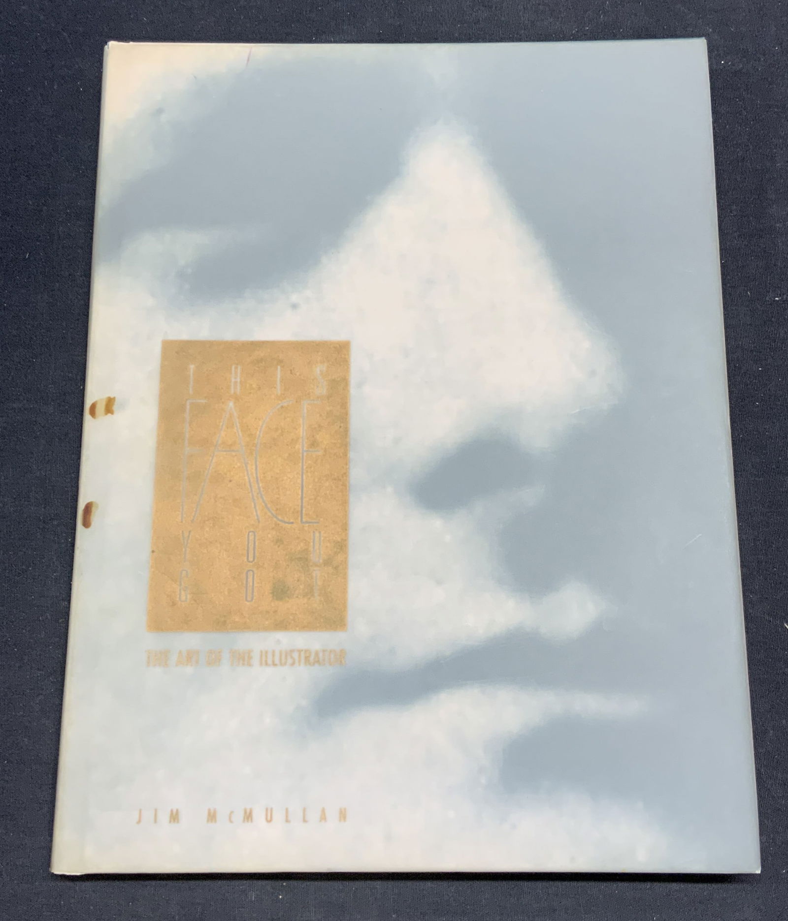 This Face You Got Illustrated Art Book 1994 (1 of 15)