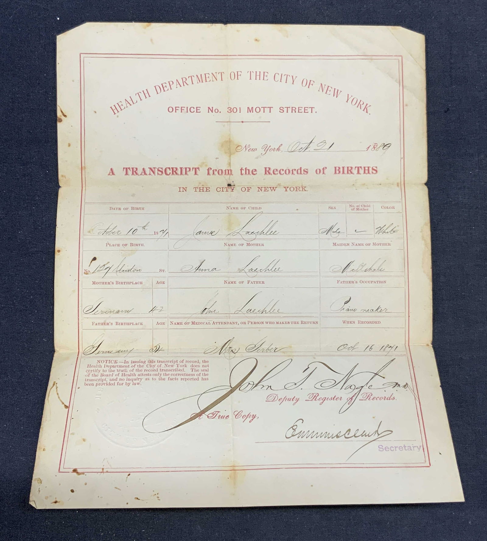 Antique 1880 New York City Birth Certificate (1 of 8)