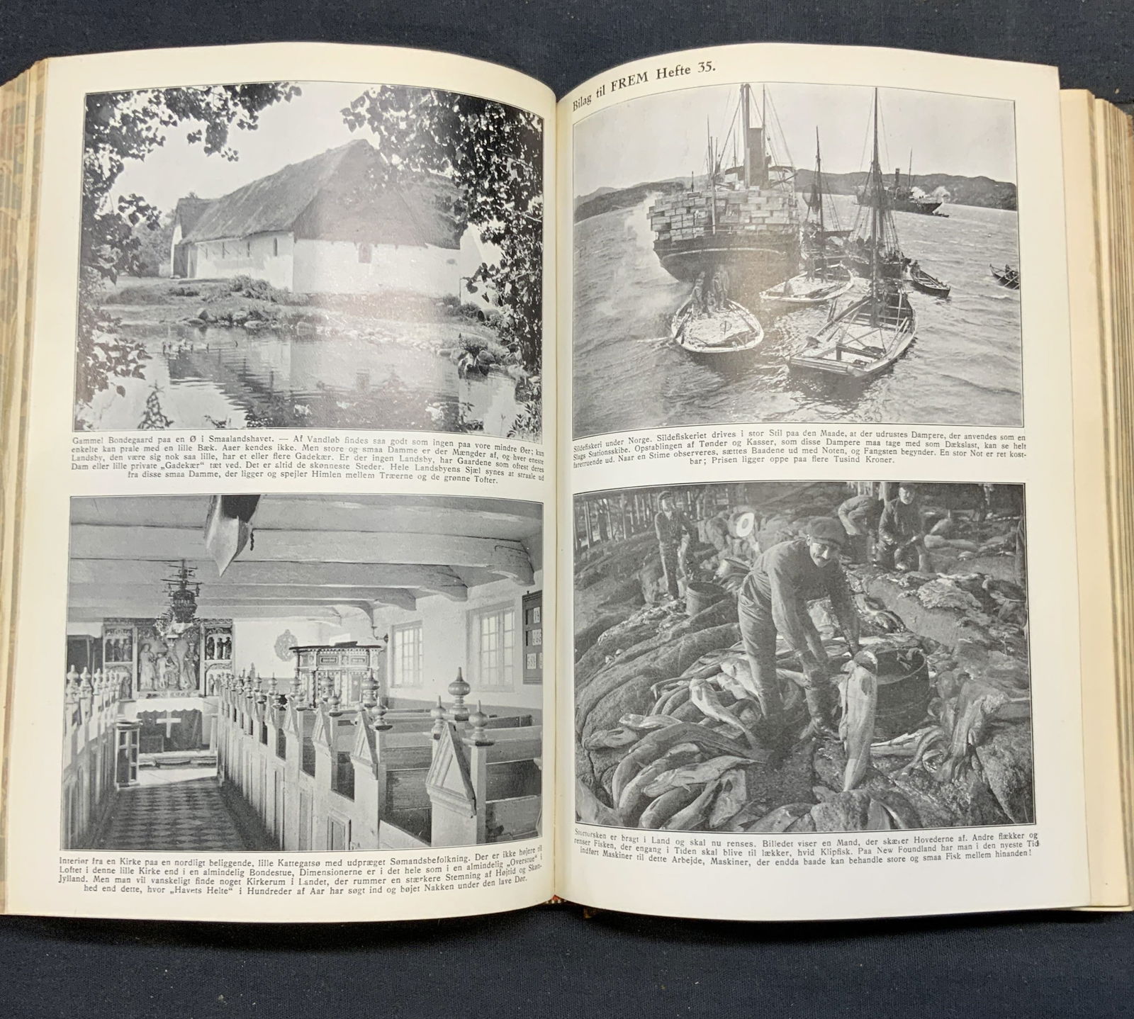 Set Frem Science Books, 1925, Illustrated, Denmark (1 of 18)