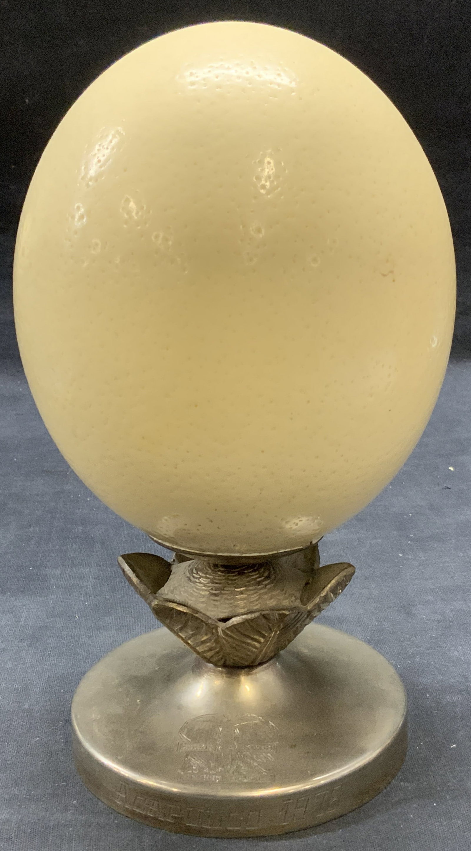 Ceramic Ostrich Egg Display & Stand (1 of 6)