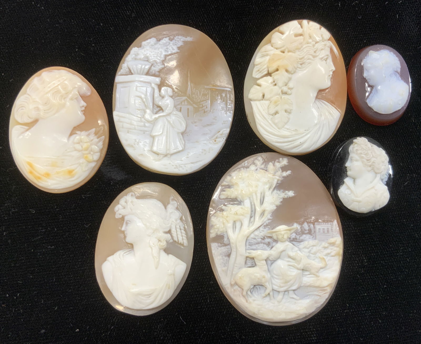 17 Antique Carved Shell Cameos, Jewelry (1 of 8)