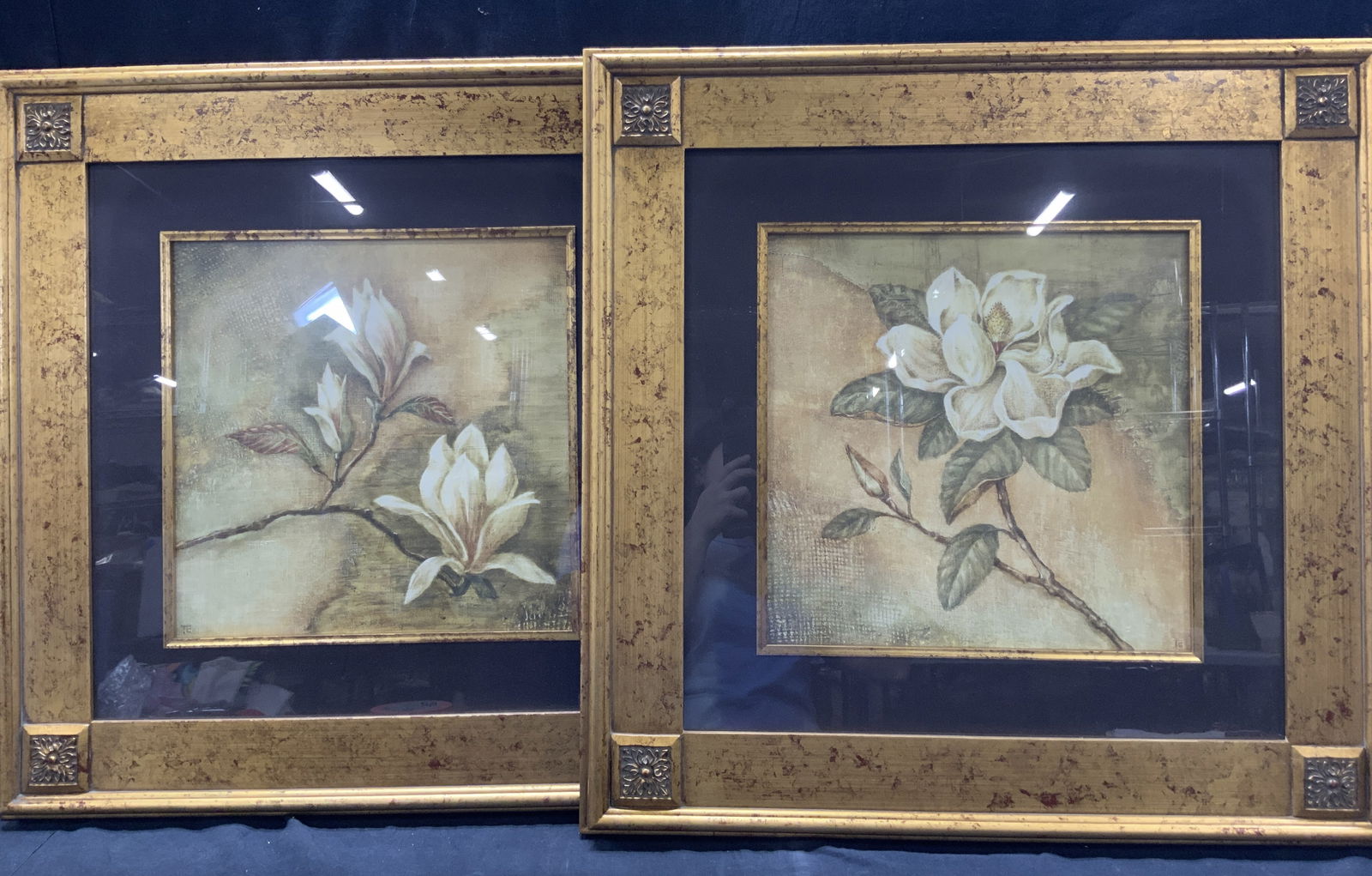 Pr Framed Botanical Lithographs (1 of 7)