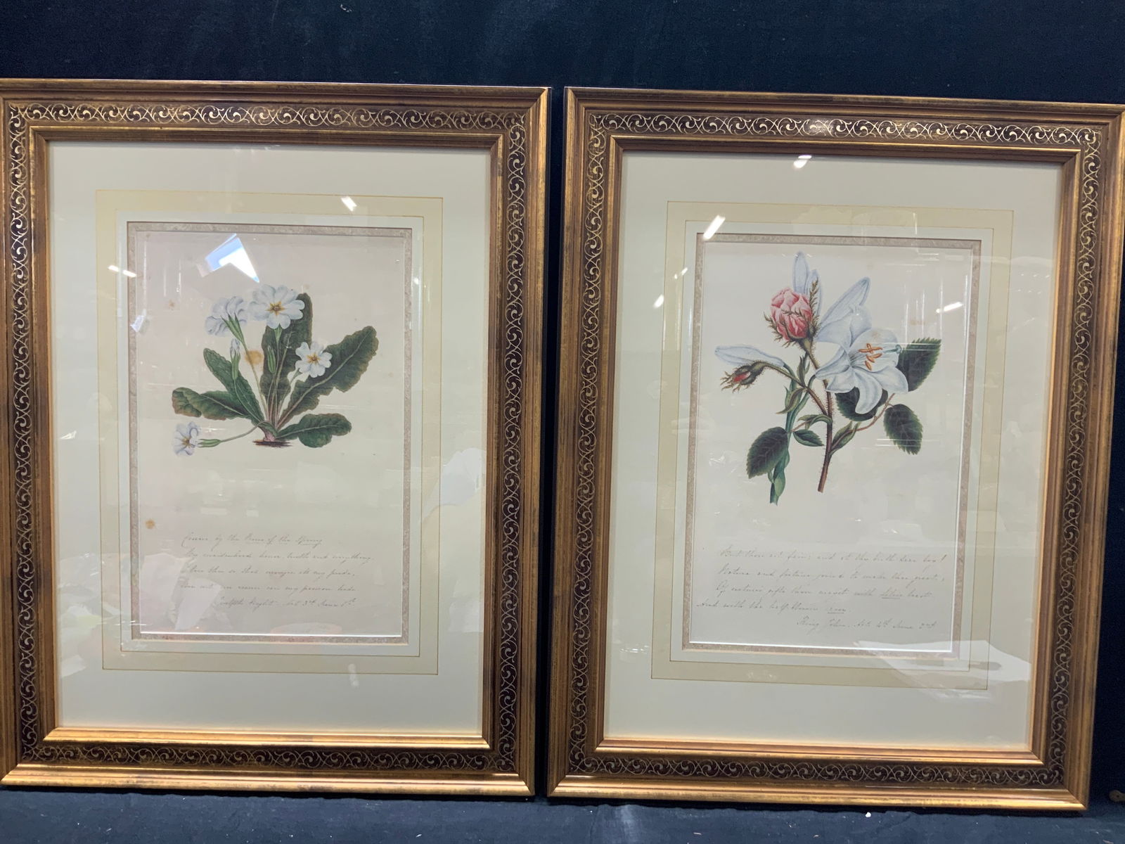 Pr Flowers Of Shakespeare Botanical Lithos (1 of 9)