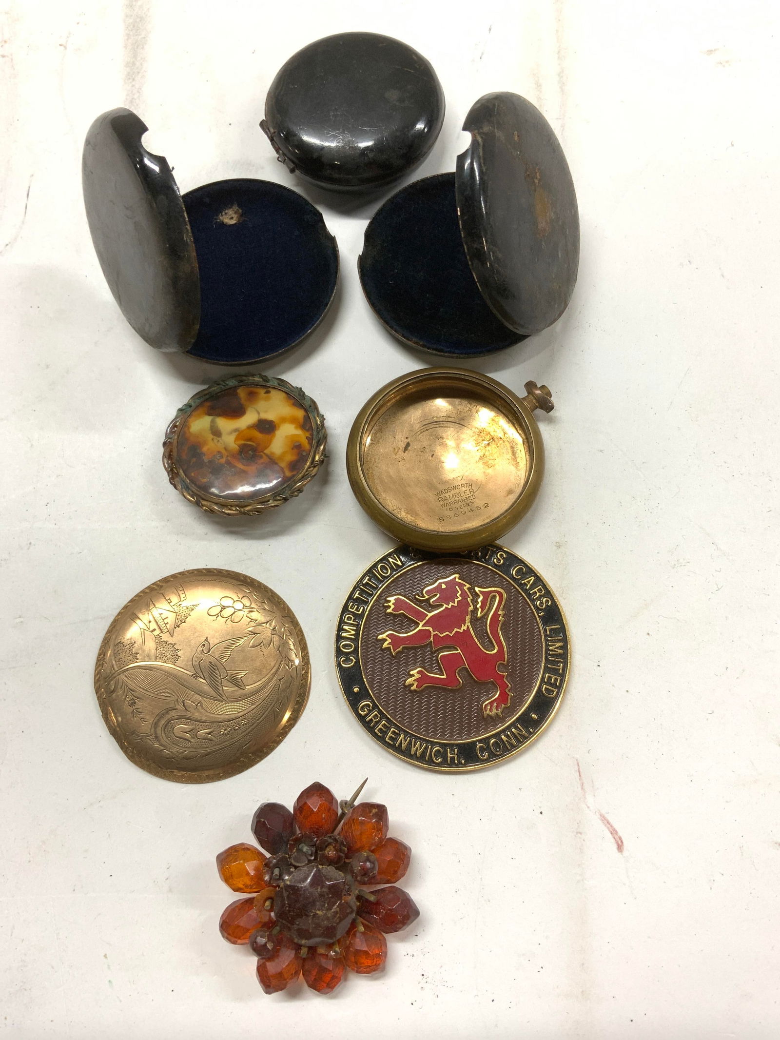 Antq Amber Brooch, 14K Gold, Wadsworth Rambler 8 (1 of 10)