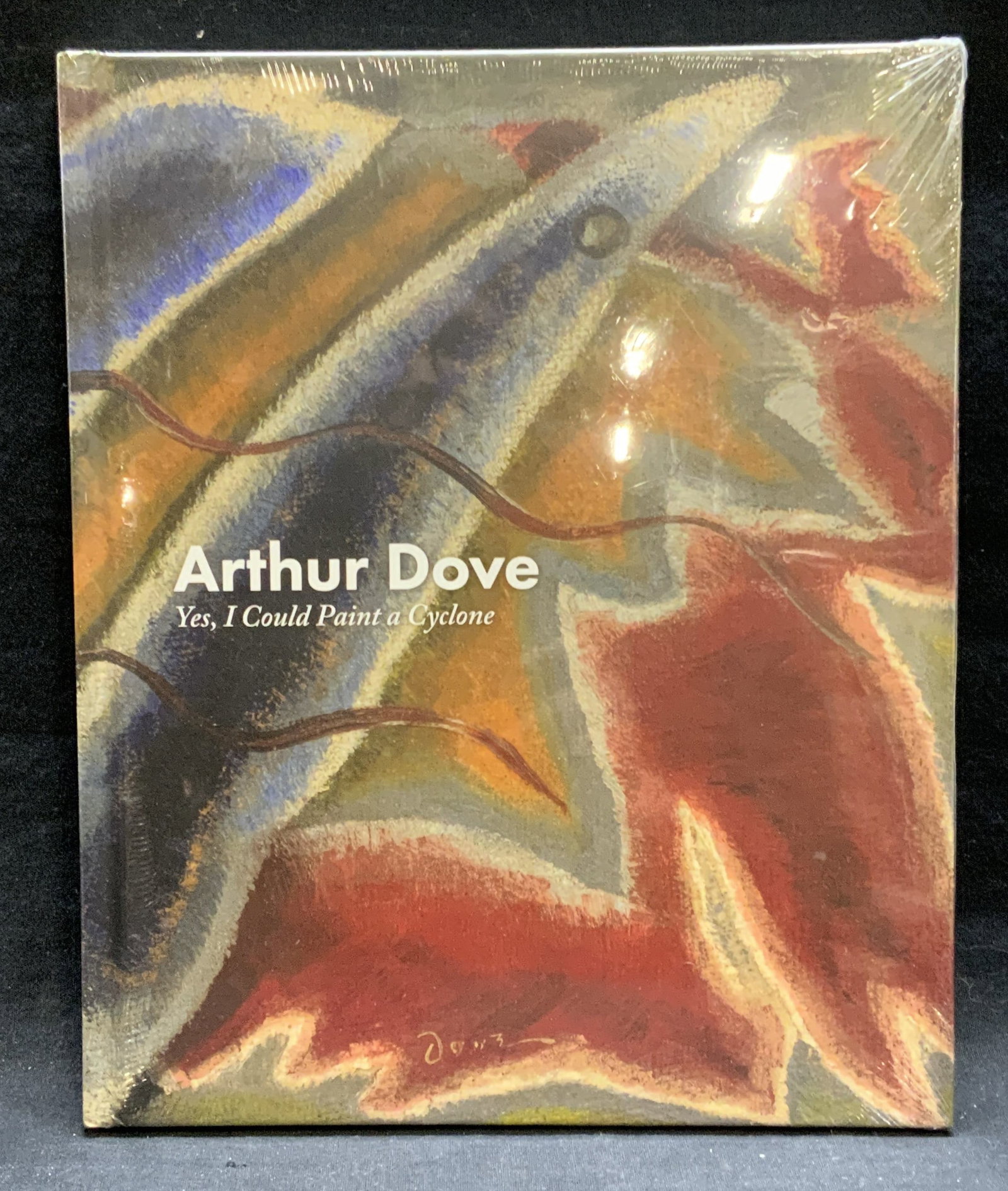 Arthur Dove I could Paint a Cyclone, Illustr NIP: Hardcover copy of Arthur Dove Yes I Could Paint A Cyclone. Published by Schoelkopf, year unknown. Illustrated book. New in packaging. Not examined out of packaging. Measures approx. 11.75 x 9.75 inche