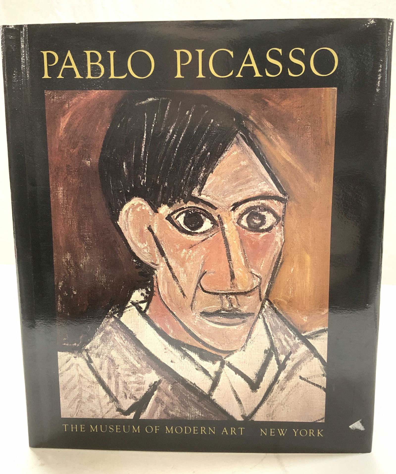 Pablo Picasso-Museum Modern Art Illustrated Bk, 1980 (1 of 8)