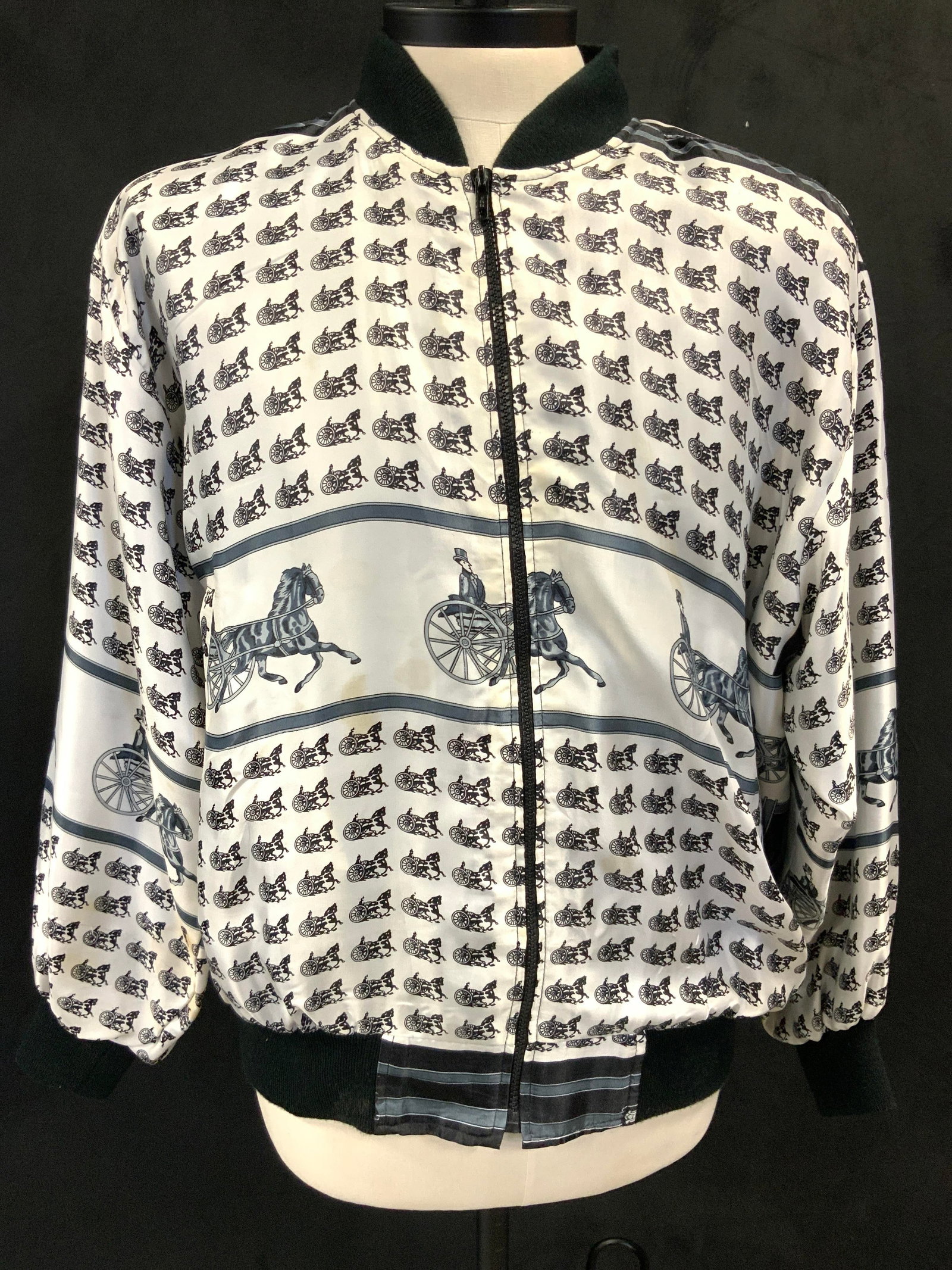 Mighty Horse & Carriage Bomber Jacket (1 of 10)