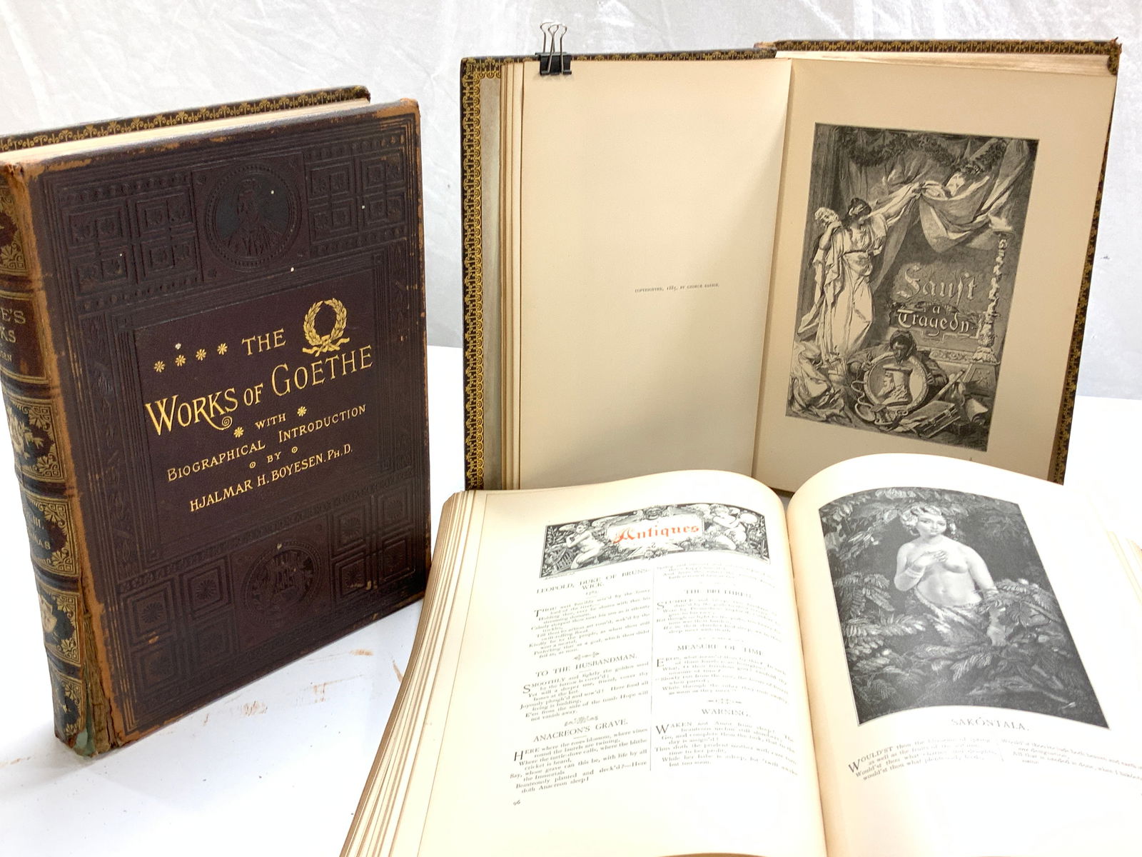 3 Antique Illustr  WORKS of GOETHE, H Boyesen 1885 (1 of 12)