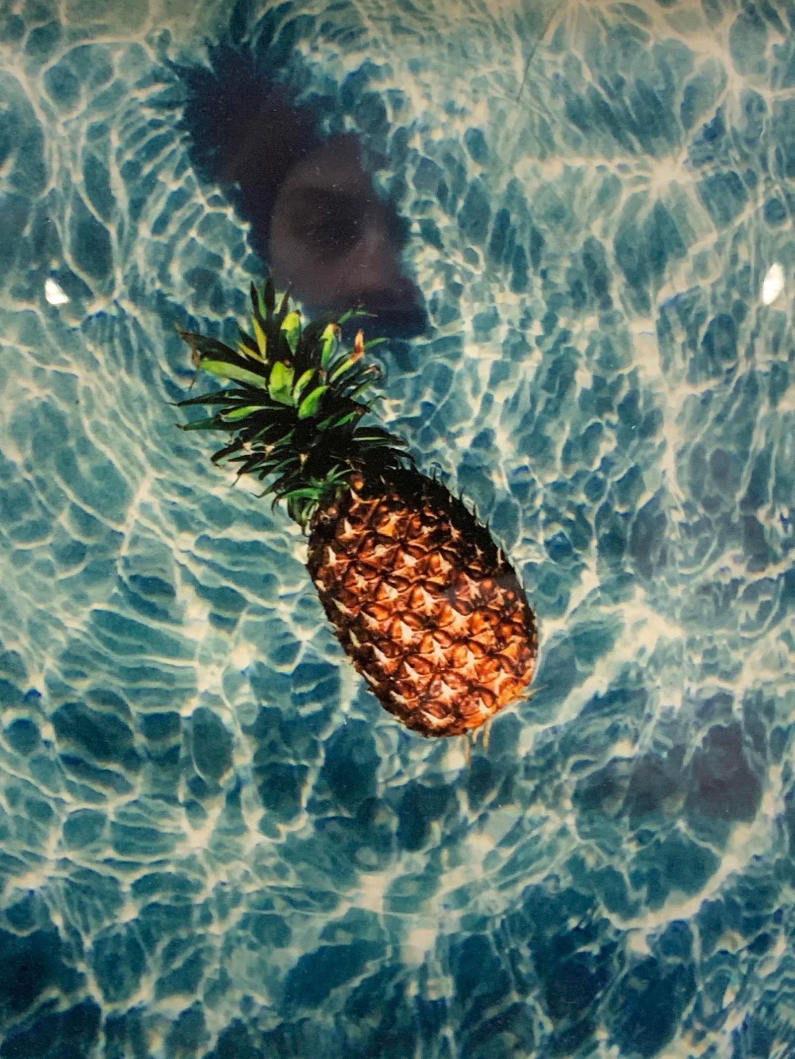 Framed Pineapple Still Life Lithograph (1 of 6)