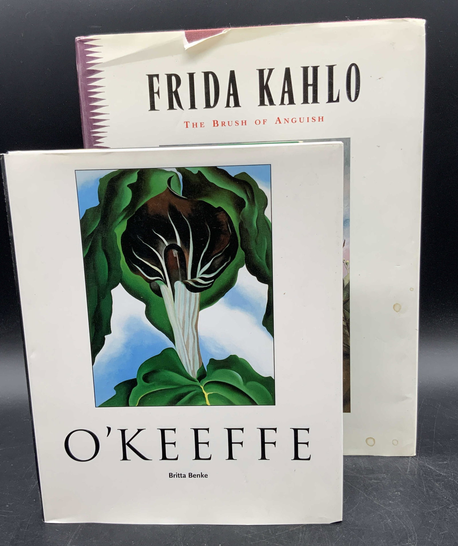 Lot 2 Art Books, Georgia OKeefe & Frida Kahlo: - Frida Kahlo, The Brush of Anguish, by Martha Zamora. Published by Chronicle Books, C. 1990. Illustrated. Dust jacket. Some tearing to dust jacket. Measures approx. 12.25L x 9.25W in. - GEORGIA OKEEF