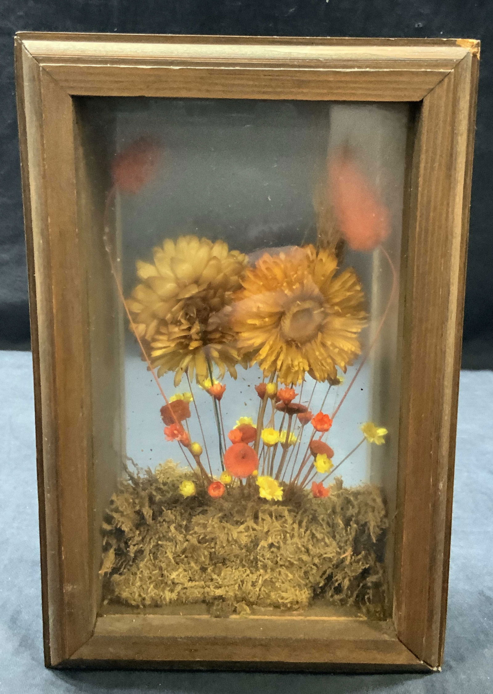 Vtg Dried Flower Box (1 of 7)