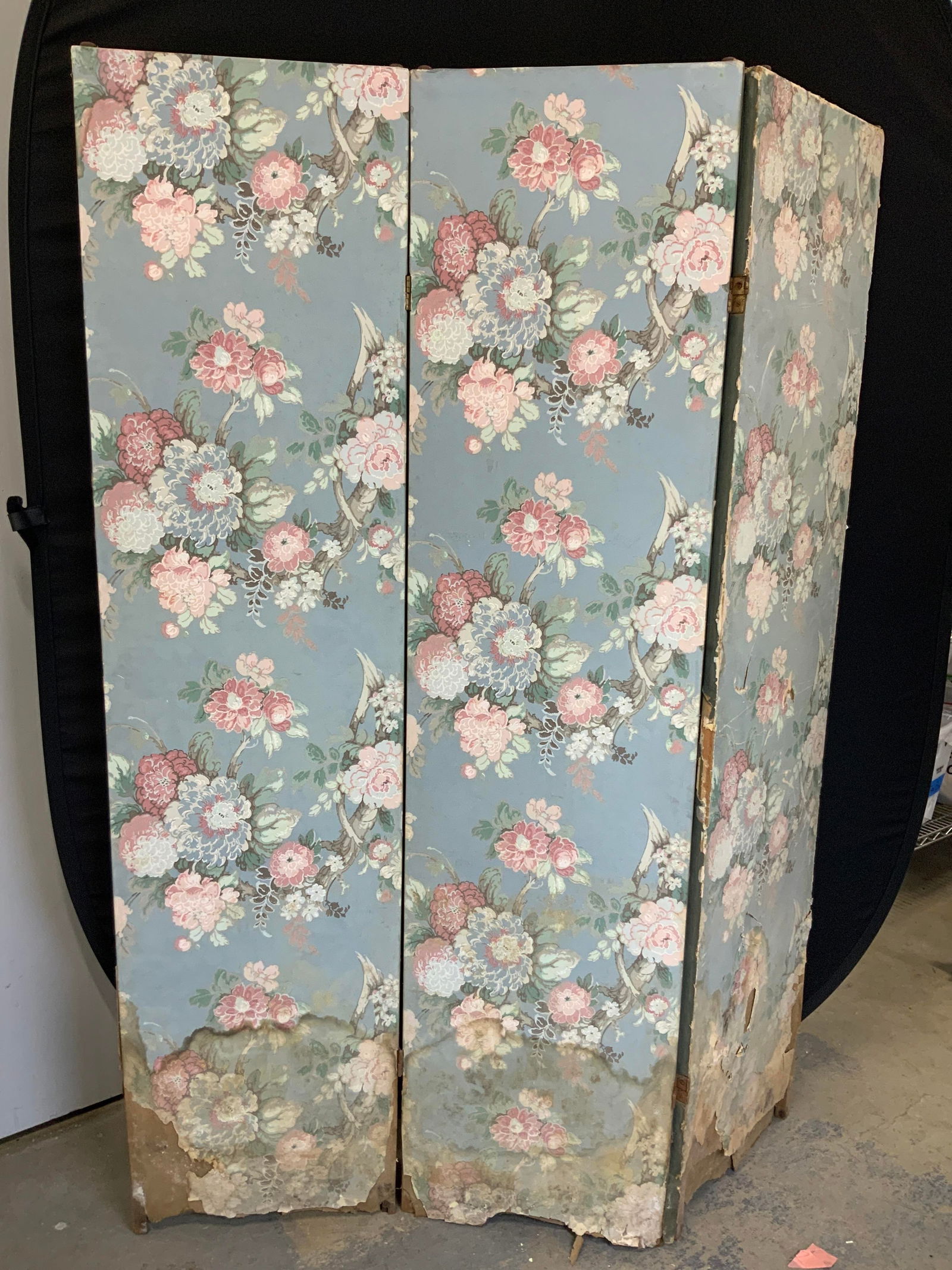 Vtg 5ft Tall Hand Painted Room Divider (1 of 9)