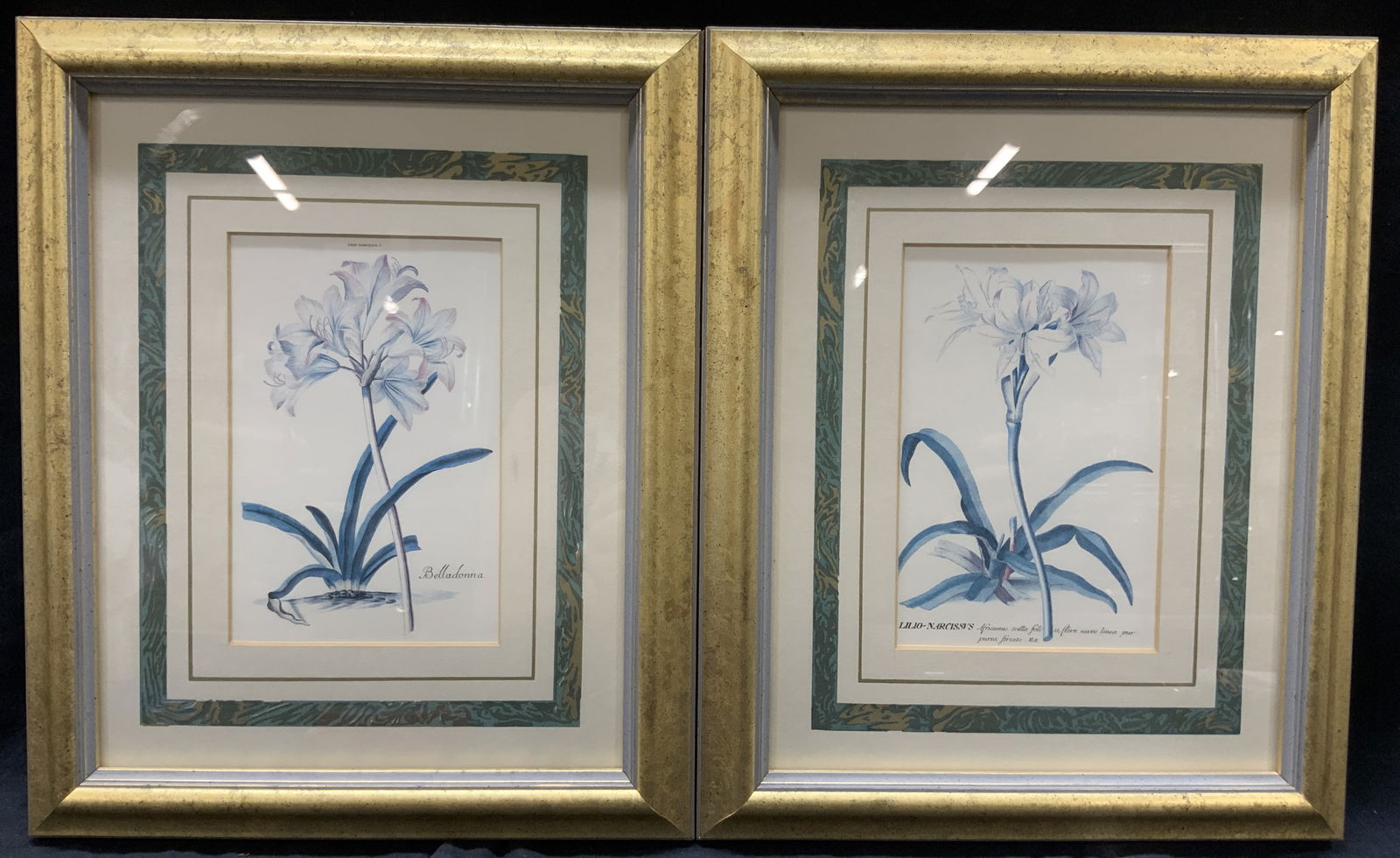 Pr Lilio Narcissvs Vtg Botanical Lithos (1 of 8)