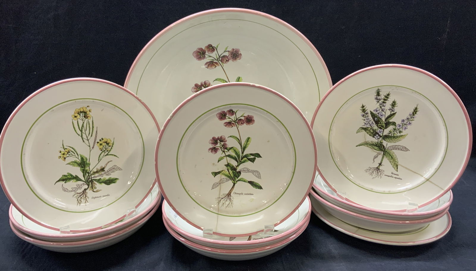 Set 11 Primula Ceramic Botanical Dishes, Italy (1 of 12)