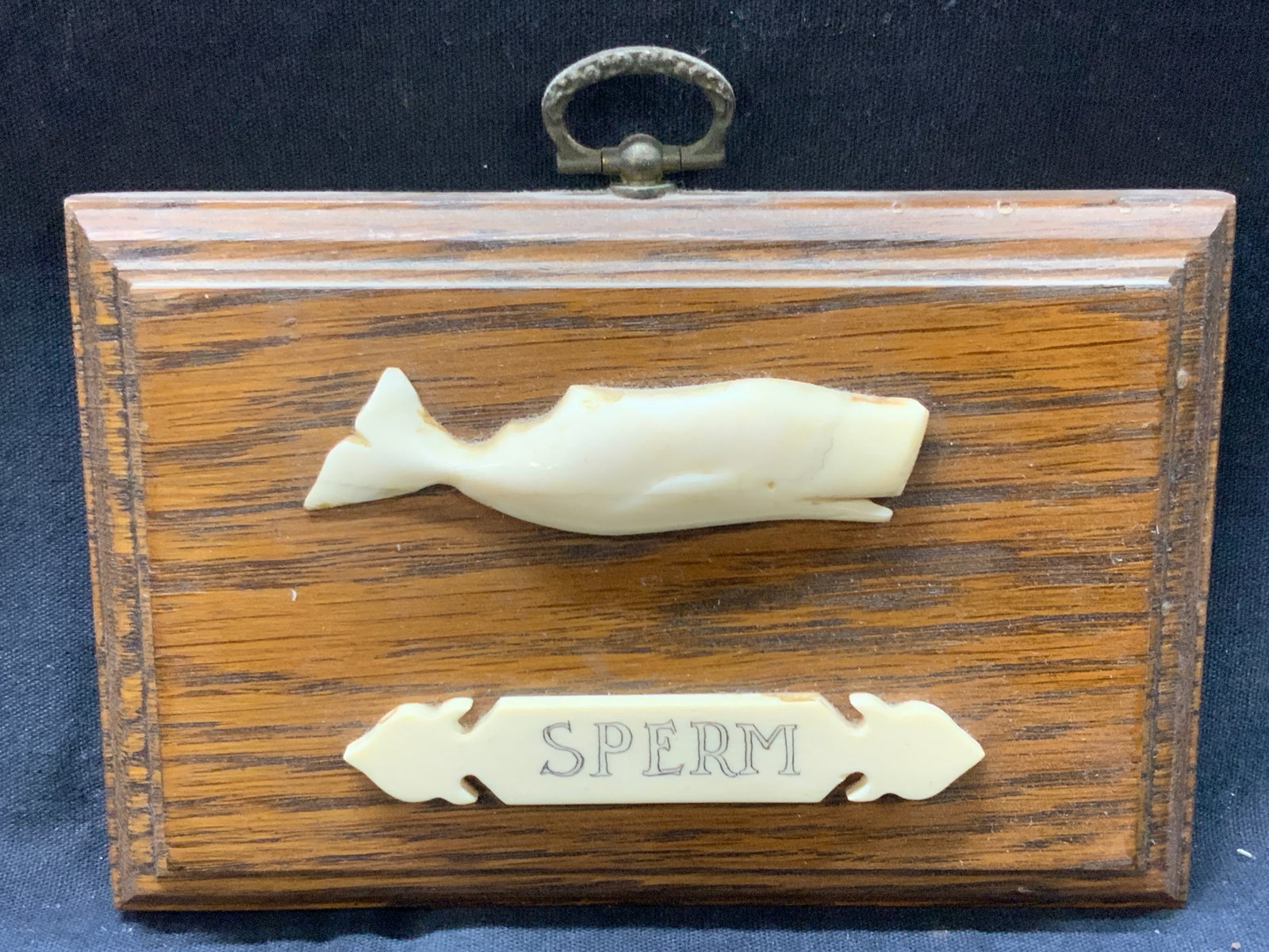 Scrimshaw Carved Bone Sperm Whale Plaque: Wooden plaque with carved bone. Possibly hard compose motif of a sperm Whale with an etched piece reading Sperm under the whale ornament. Approx, ,4 x 6 inches, whale ornament measures 3 inches long M