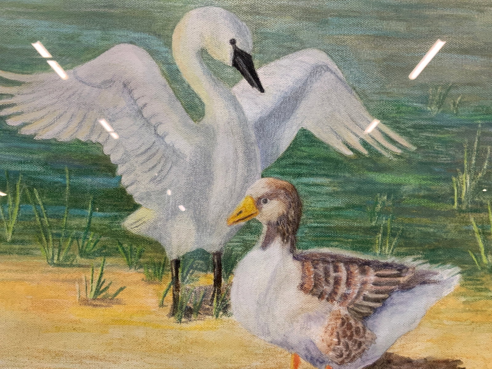 R.Goldner Sgd Swan & Duck Watercolor On Canvas: Signed on lower right R.Goldner, marked on backside Rita Goldner Watercolor on canvas Depicting a swan and a duck on the side of a body of water. Framed in a bronze toned Metal frame with brown mat bo