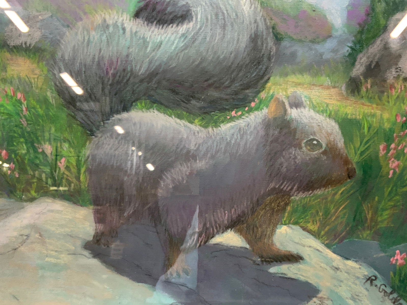 Rita Goldner Sgd Pastel Squirrel Drawing (1 of 9)